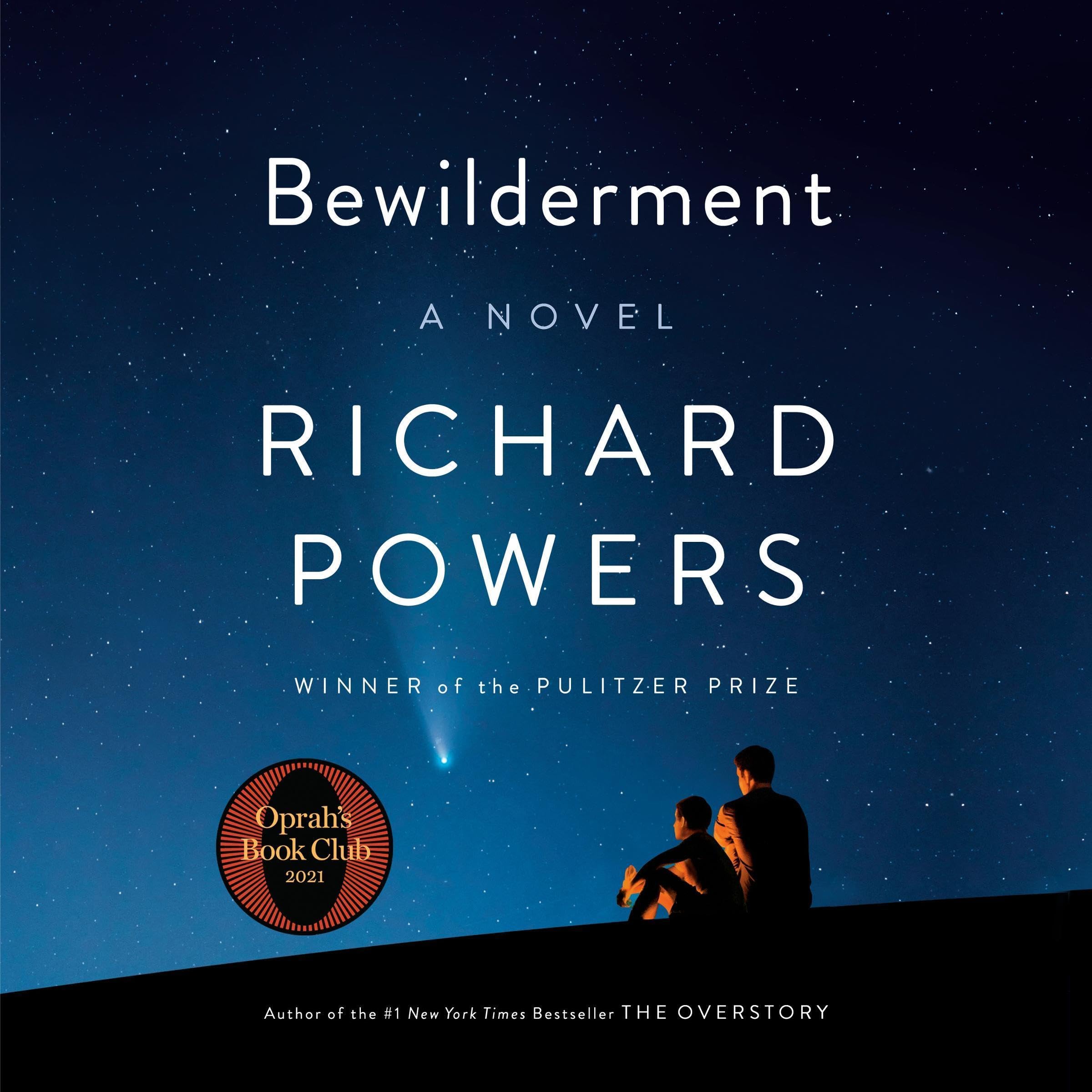 Cover art for Bewilderment