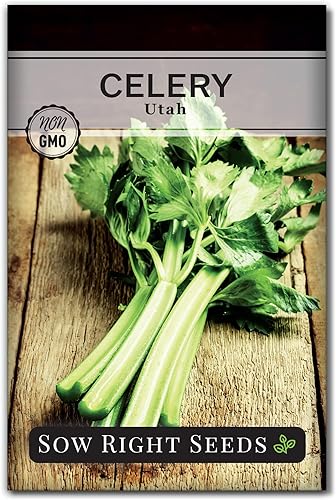Miniatura 3 de Sow Right Seeds - Colección de semillas de apio para plantar - Apio chino y alto de Utah - Vegetales resistentes al frío - Paquetes de reliquia sin