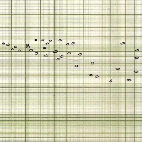 Loaded [Clean] by Funckarma on Amazon Music - Amazon.com