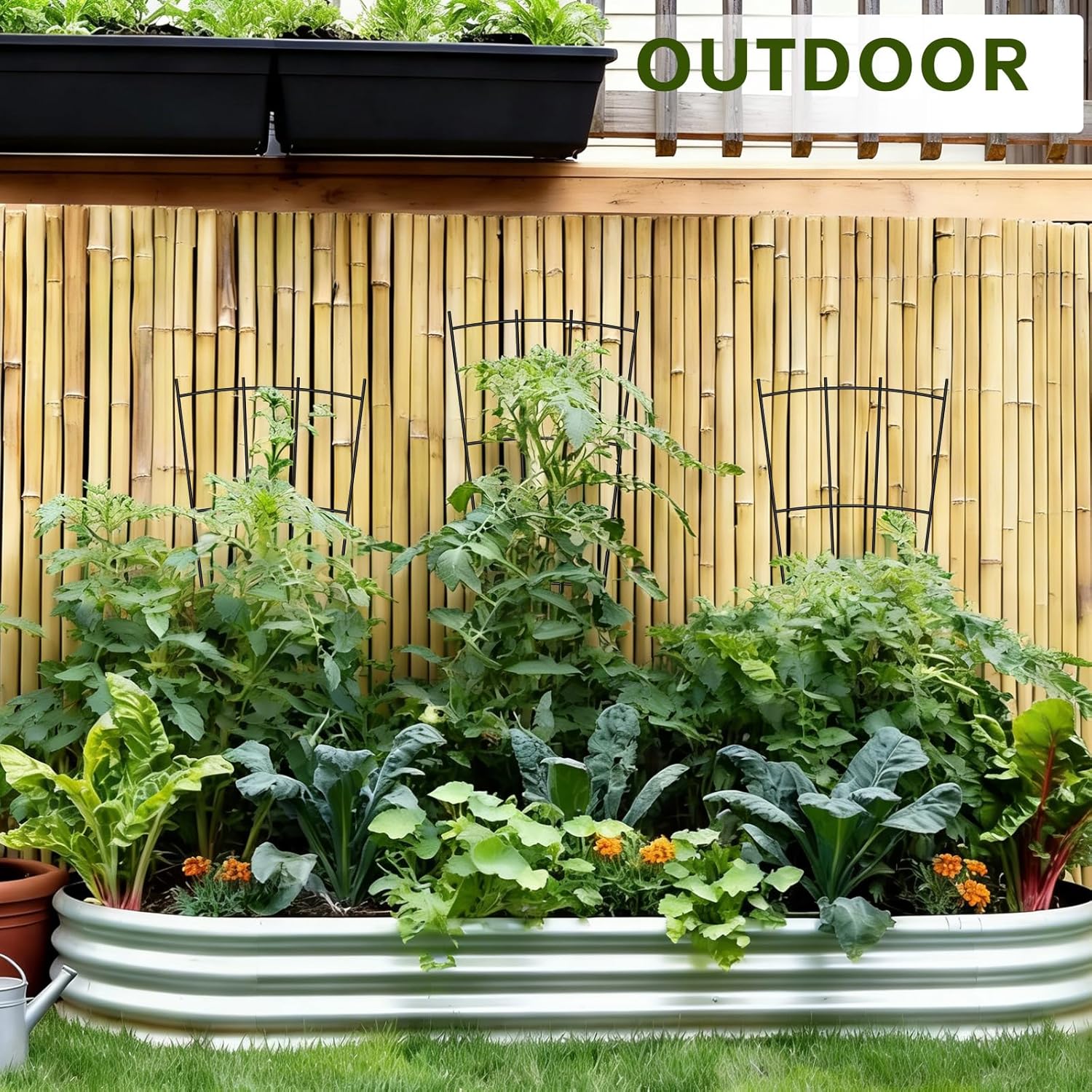 Trellis for Climbing Plants Indoor, 4 Pack 31'' Metal Plant Trellis Indoor for Potted Plants, Sturdy Plant Support Outdoor for Ivy Pothos Monstera Hoya Flower Vine, Fan Shape