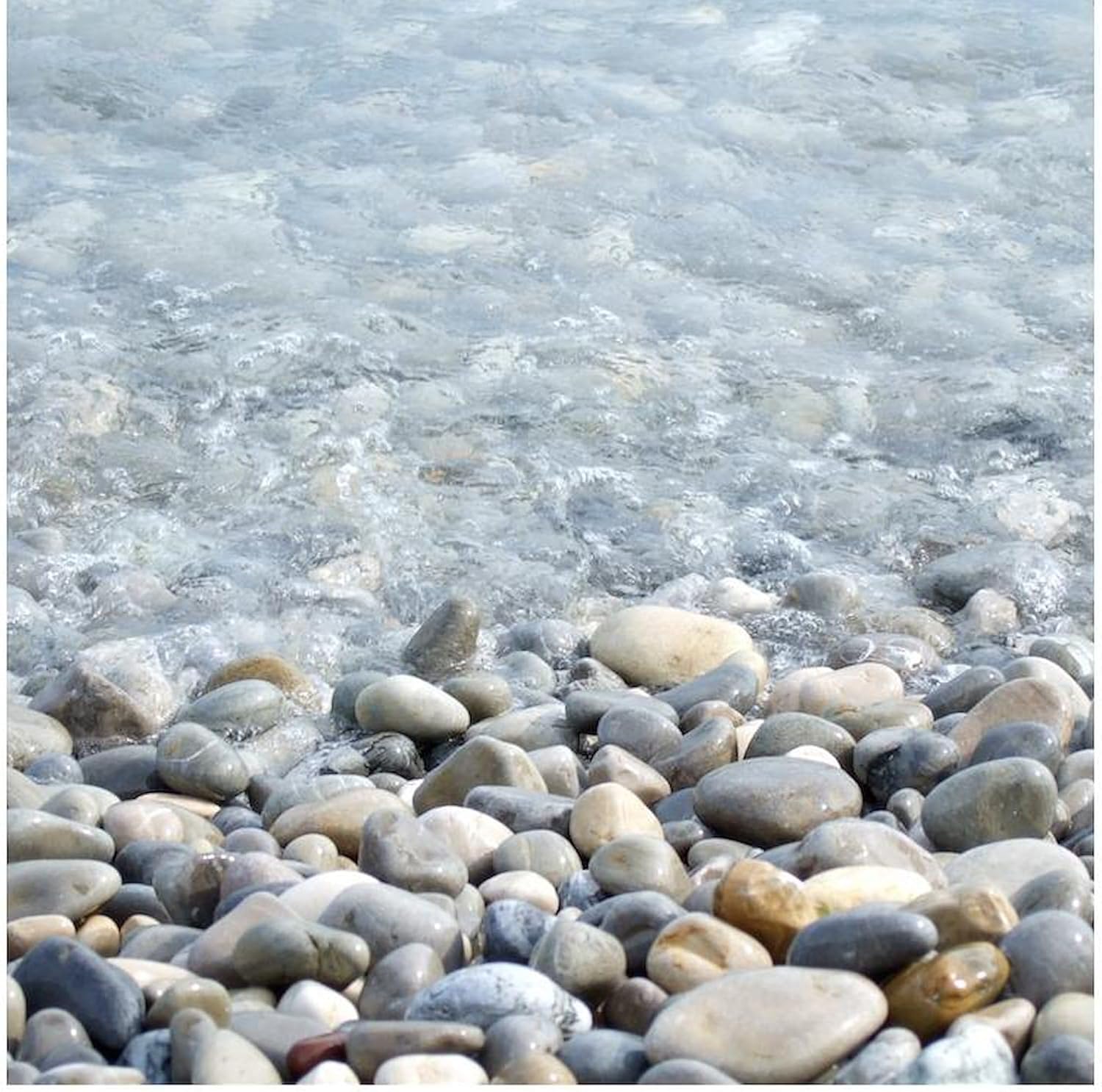 CafePress Ocean Pebbles Decorative Fabric Shower Curtain