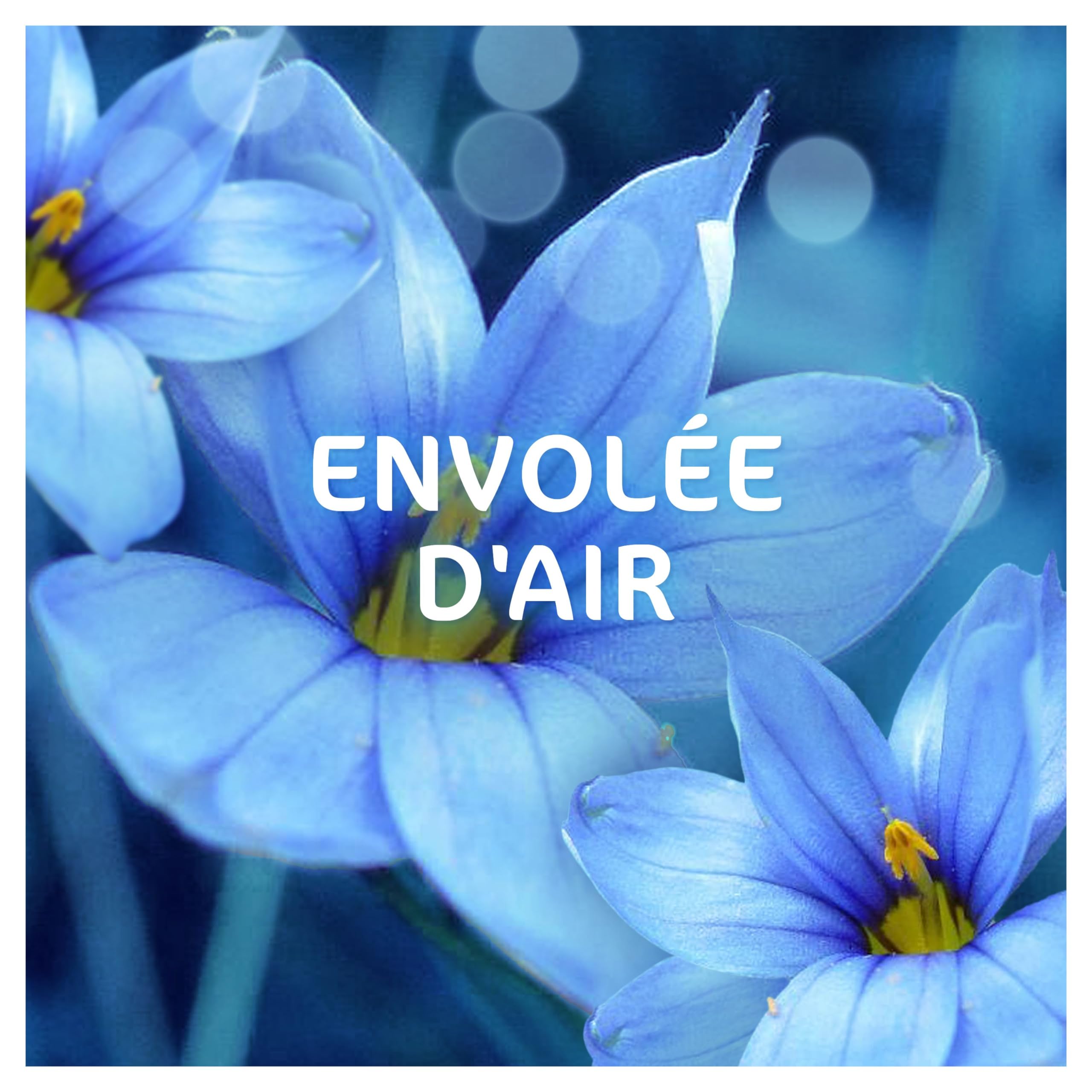 Dash 2en1 Lessive Liquide, 100 Lavages (4 x 25 Lavages), Envolée d’Air, avec 3 SEMAINES DE FRAÎCHEUR* et Lenor, Fabriquée En France, Dash 2in1