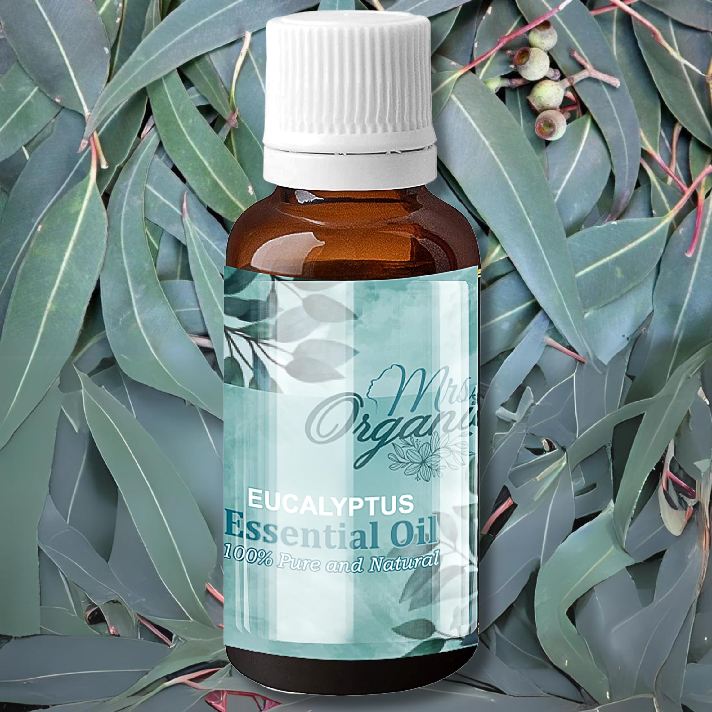 Mrs Organic Pure, cold-pressed Natural eucalyptus oil from the Nilgiri region: Pure Refreshing Eucalyptus oil for comfort and relaxation Aroma for Cold Cough wellness Support, Steam Inhalation, Aromatherapy, and Diffuser Bliss-(15ml-1p) (B0C71PN9RX) Amazon Price History, Amazon Price Tracker