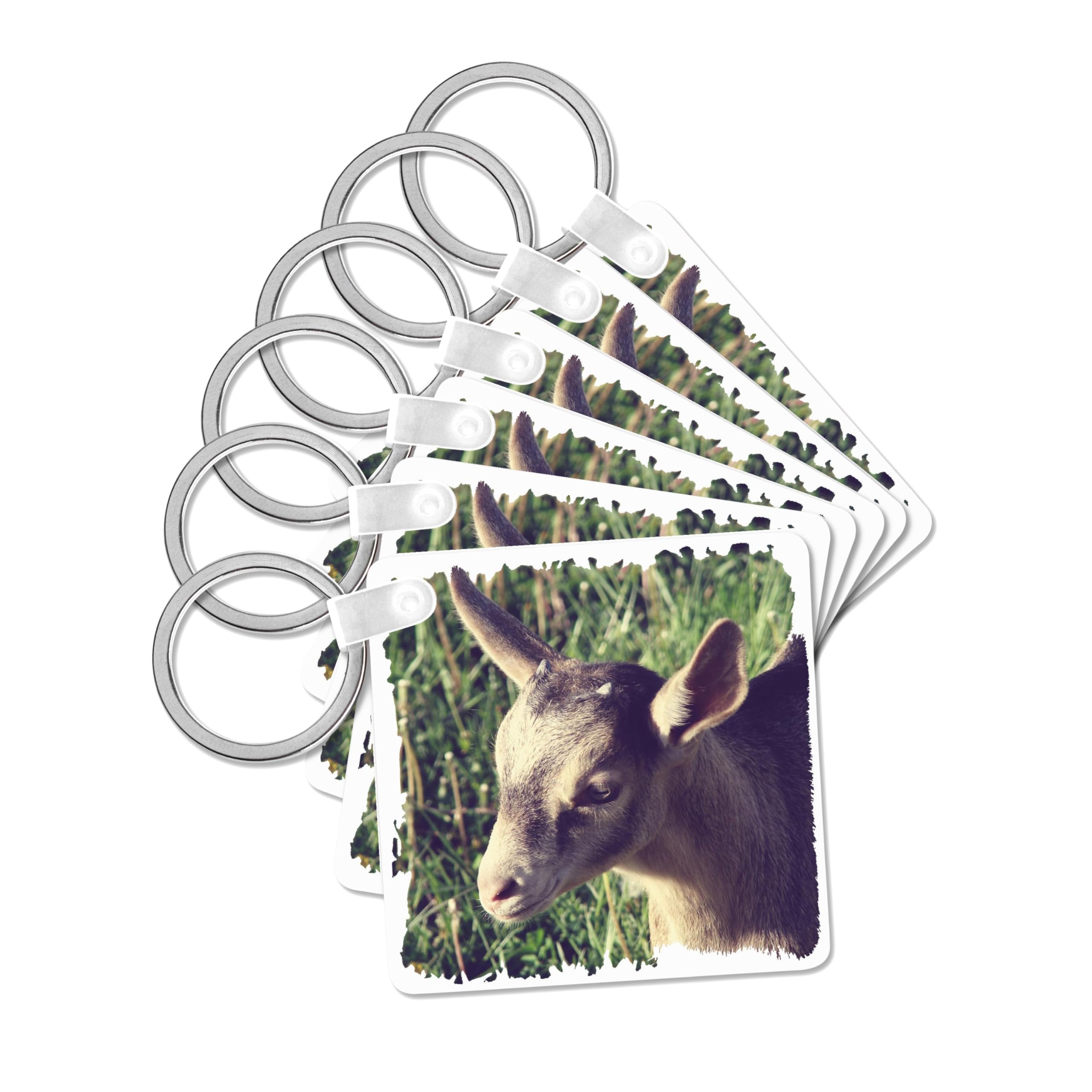 3dRose, Dairy Goat Billy Kid Photographed by Angelandspot, set of 6 Key Chains