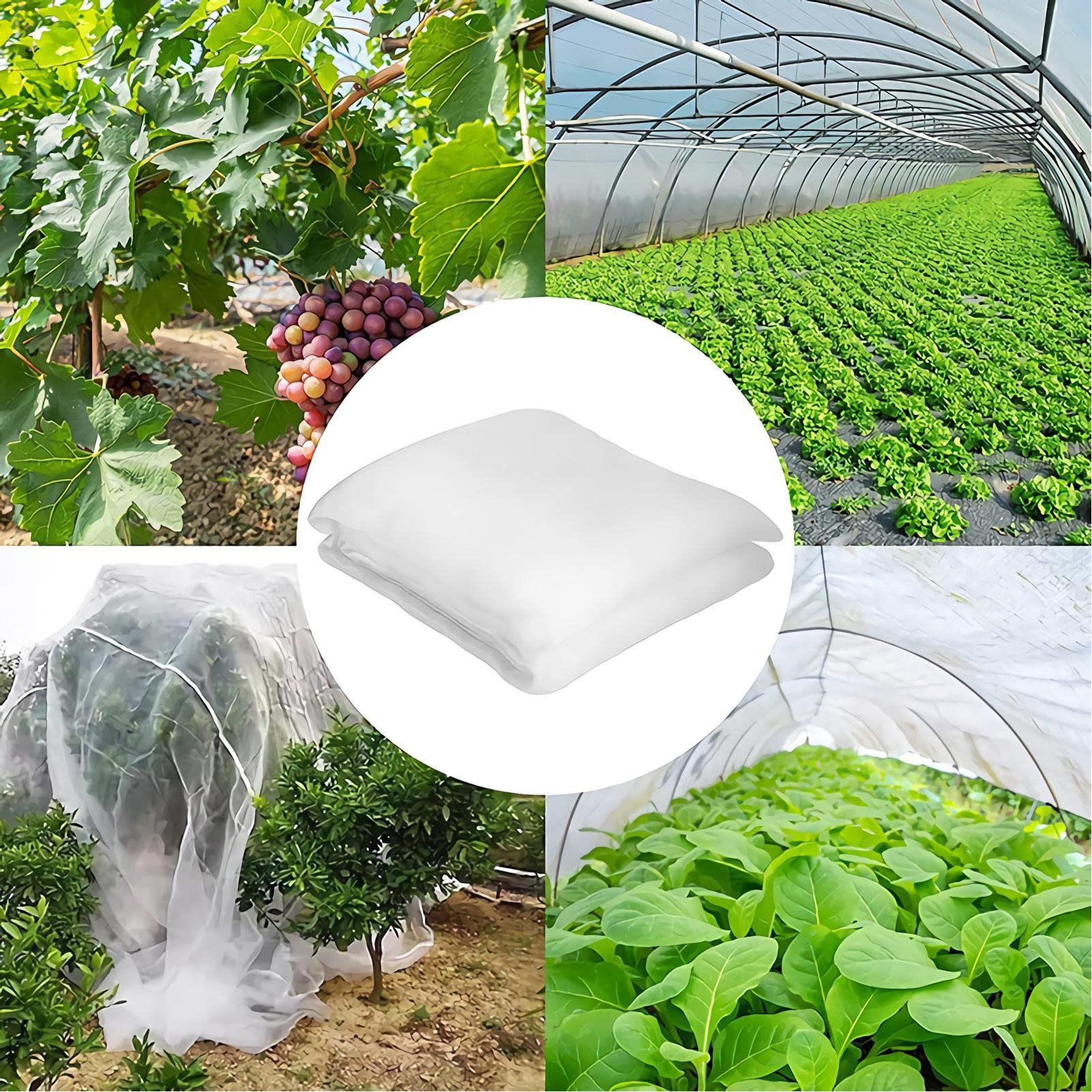Red Anti Insectos,4 * 8m Malla Antiinsectos,Malla Anti-pájaros,Red de Proteccion contra Insectos Puede Proteger Cultivos, Frutas y Flores de Una Variedad de Plagas,Blanco