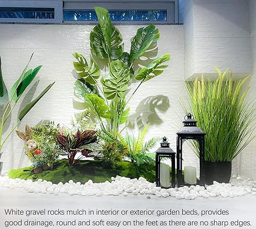 Miniatura 7 de Rocas blancas pulidas, guijarros blancos decorativos para plantas, suculentas, paisajismo, jardín, florero, grava blanca pulida, piedras blancas de