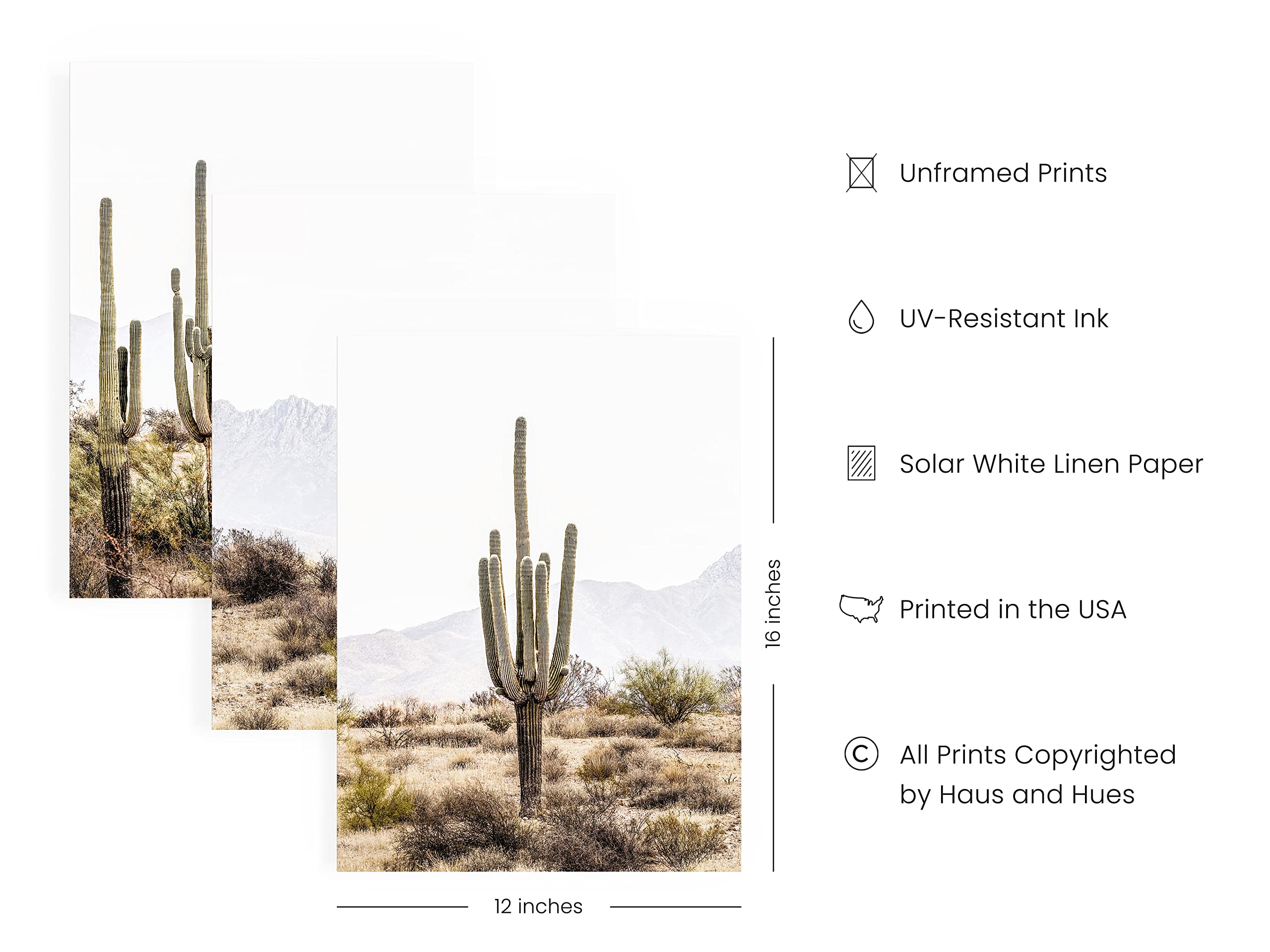 HAUS AND HUES Desert Wall Art - Set of 3 Western Landscapes, Joshua Tree & Cactus Scenic Prints (12x16, Unframed)