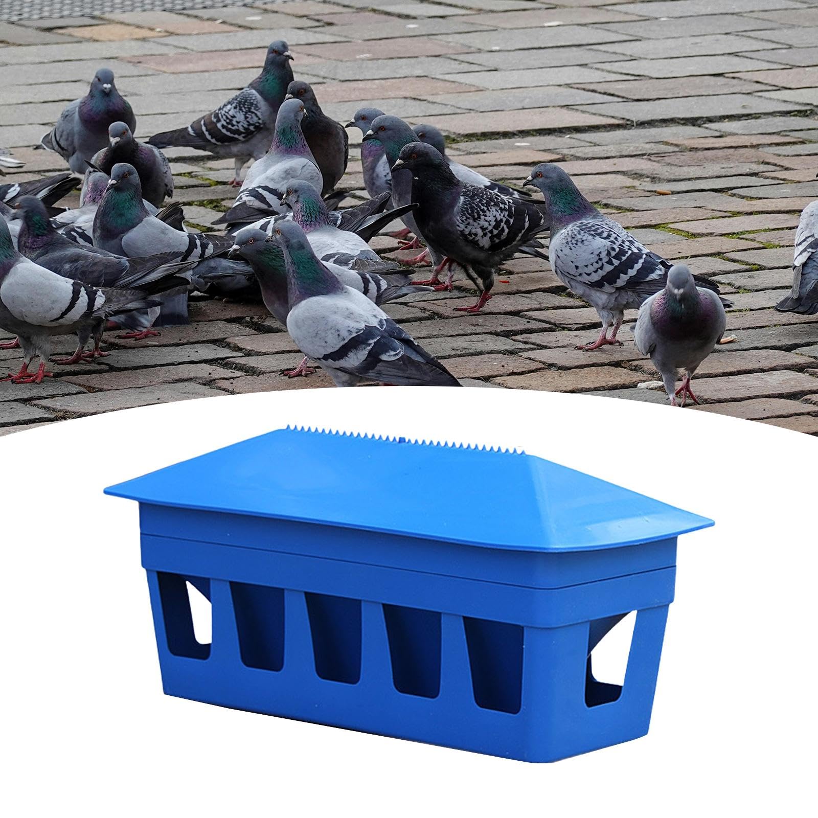 Sharplace Mangeoire à Pigeons, Distributeur d'alimentation pour Poulets, Seau d'alimentation Automatique pour Oiseaux, conteneurs
