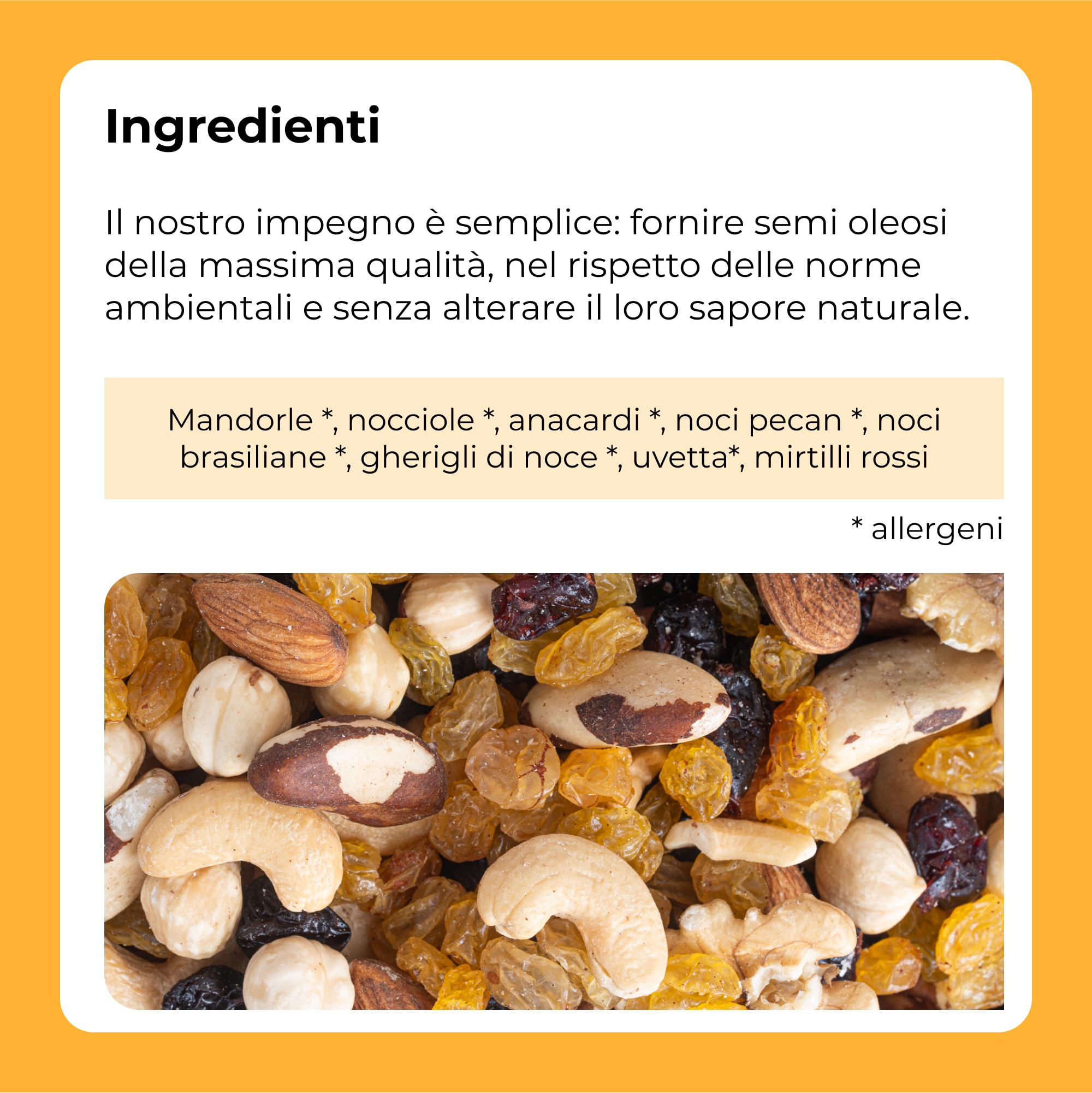 Mix Frutta Secca E Disidratata [1Kg], Mandorle, Nocciole,Noci, Anacardi, Noci Pecan, Uva Passa, Noci Del Brasile, Mirtilli, Stuzzichini Croccanti Dolci. Gusto Delicato – Dorimed