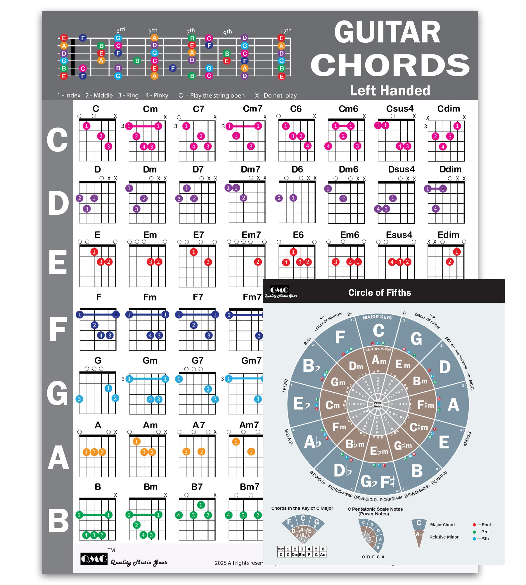 QMG Left Handed Guitar Chords Cheatsheet and Circle of Fifths Chart – Laminated A4 Music Theory Chart for Beginners