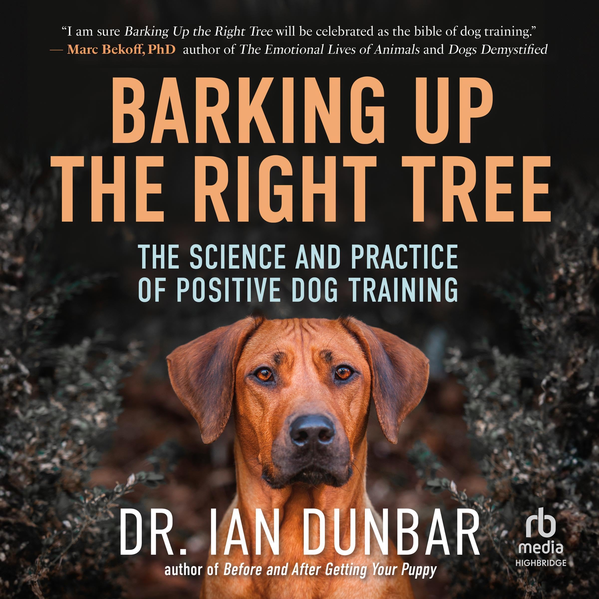 Barking Up the Right Tree
