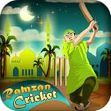 Choose number of overs from 3, 6, 9 and 12.