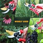 RESTMO Clippers de jardin haut de gamme avec poignées forgées en aluminium & Lame enduite de titane, ciseaux de triage pour les accessoires de la plante domestique & Outils de jardin, Rouge