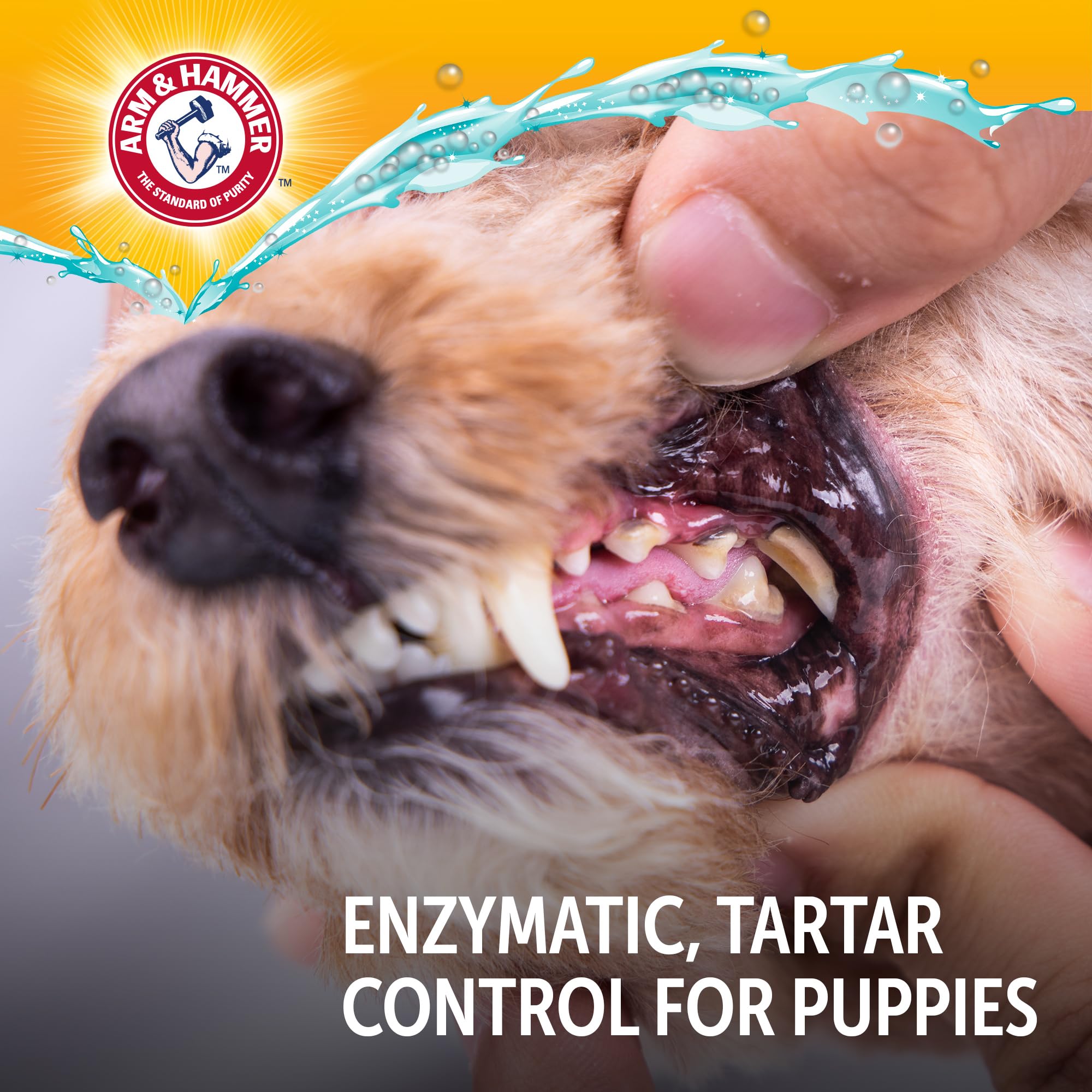 Arm & Hammer Complete Care Enzymatic Puppy Toothpaste, Peanut Butter Flavor, Enzymatic Dog Toothpaste for Puppies, Baking Soda + Calcium Formula, 6.2oz - image 8