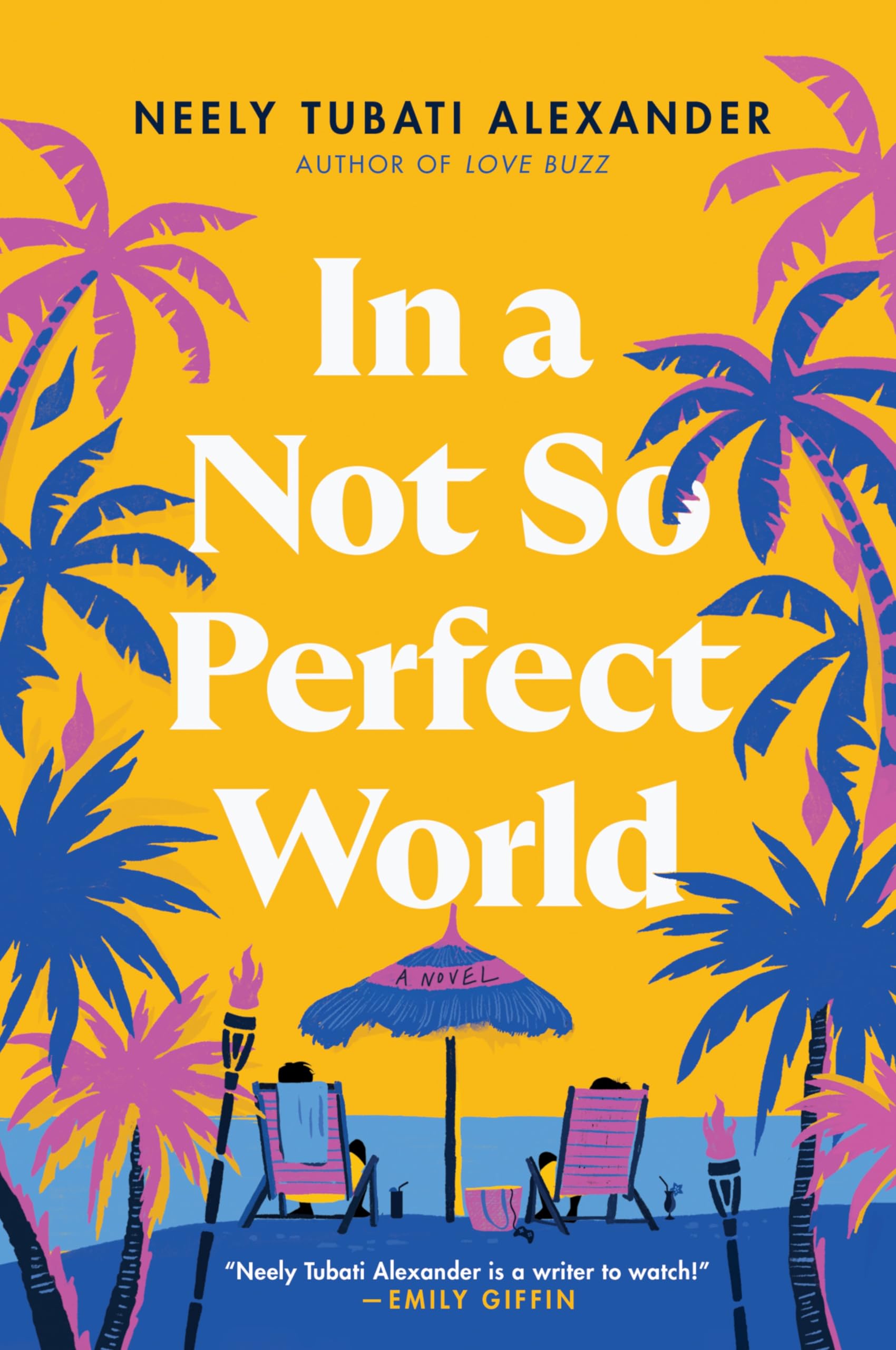 In a Not So Perfect World: A Delightful Caribbean Rom-Com About Career Ambition and Falling in Love