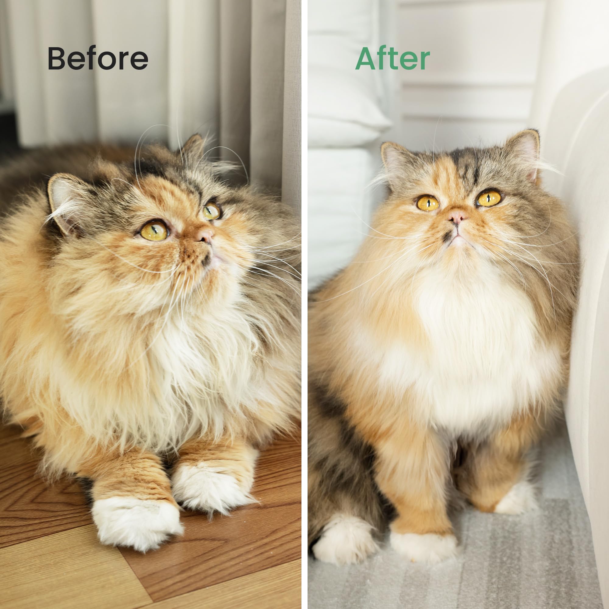 dancemoon PawRake, Brosse pour Chats et Chiens pour Mue et Démêlage du sous-Poil, Outil de Toilettage pour Animaux à Poils Mi-Longs et Longs, Sûr pour la Peau et Léger