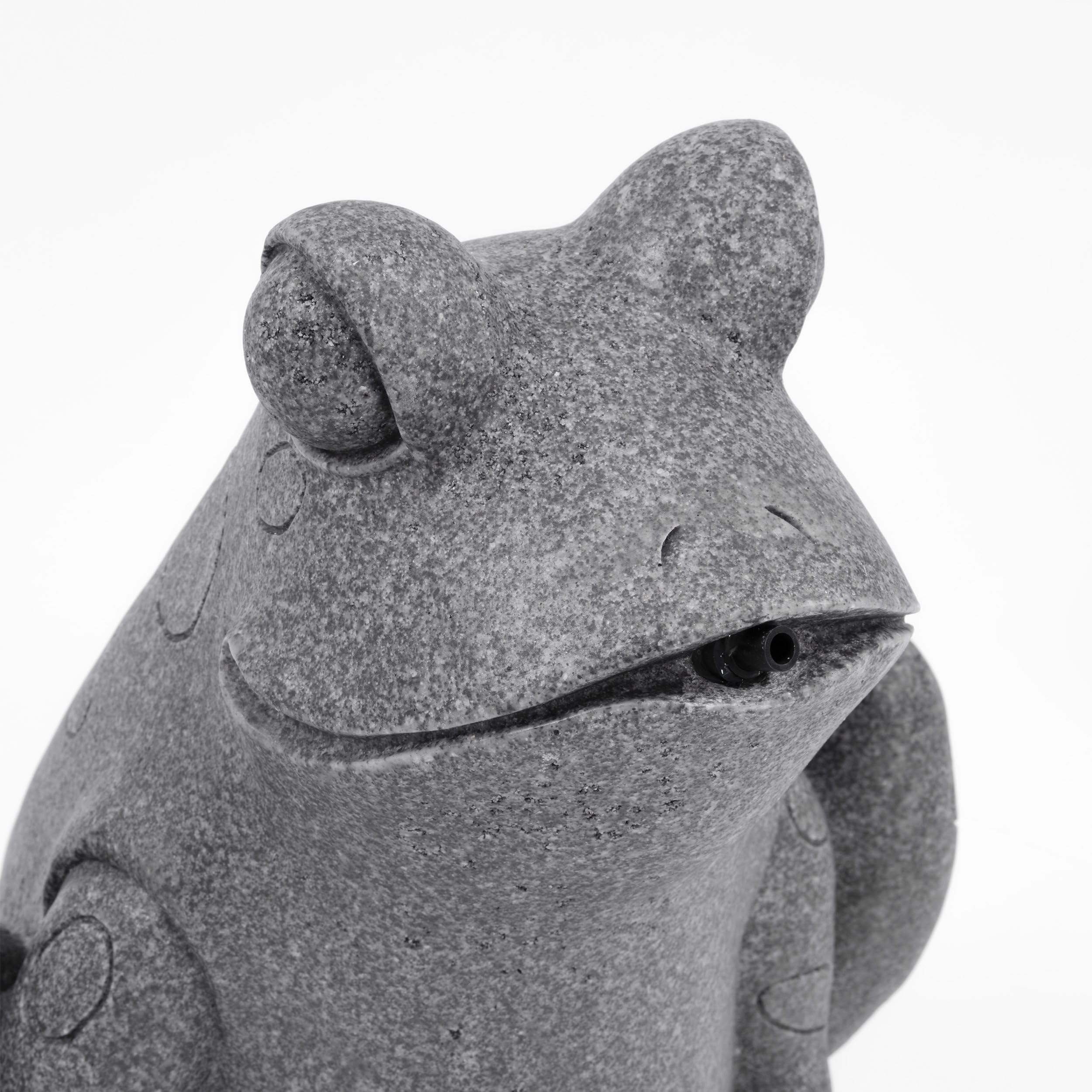 Esotec Kit gargouille solaire grenouille assise pompe solaire statue de jardin fontaine extérieure hauteur 30 cm