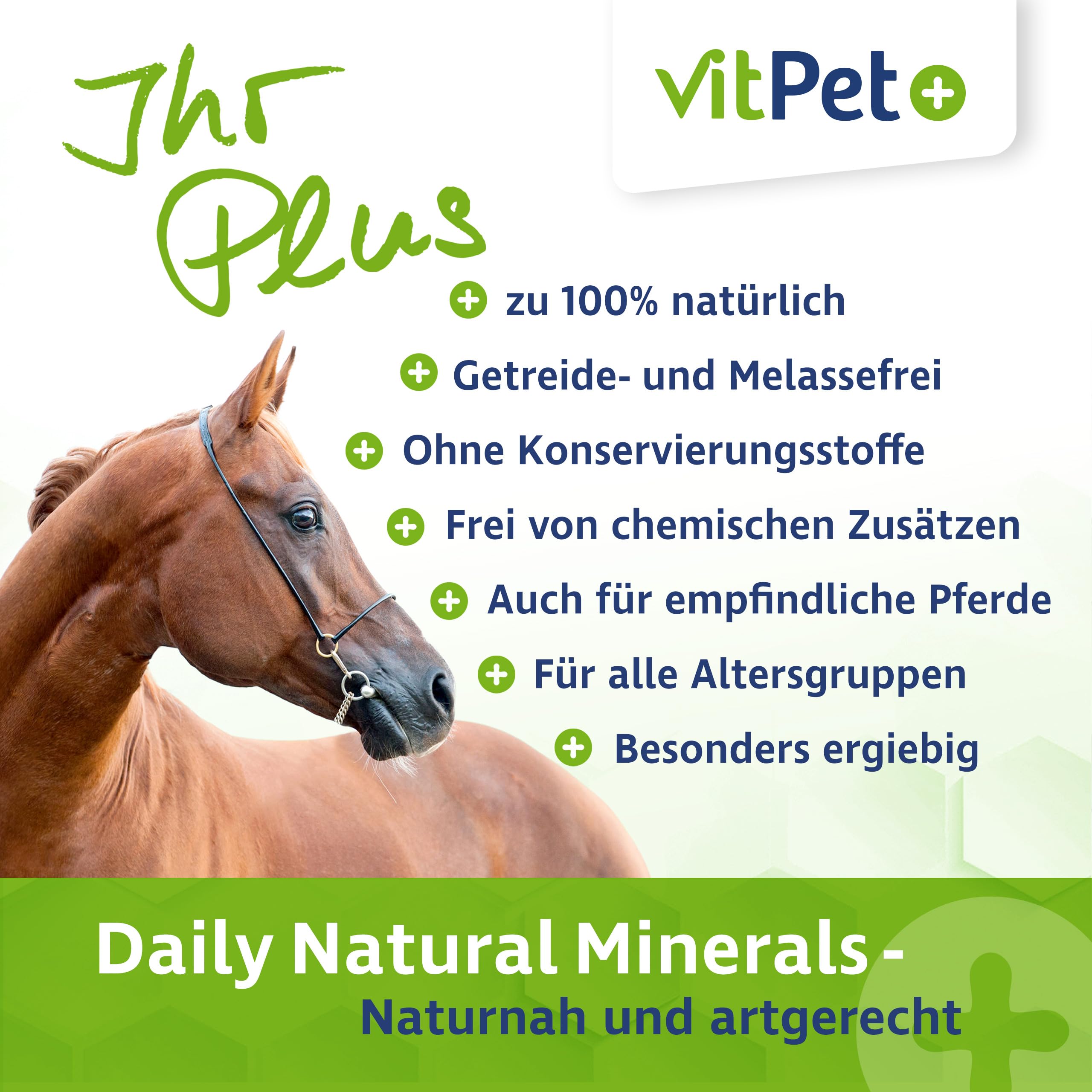 Daily Natural Minerals – Premium Mineralfutter Pferde 4 kg | Magnesium, Biotin, Zink, Selen | Getreidefrei & Melassefrei | inkl. Dosierlöffel