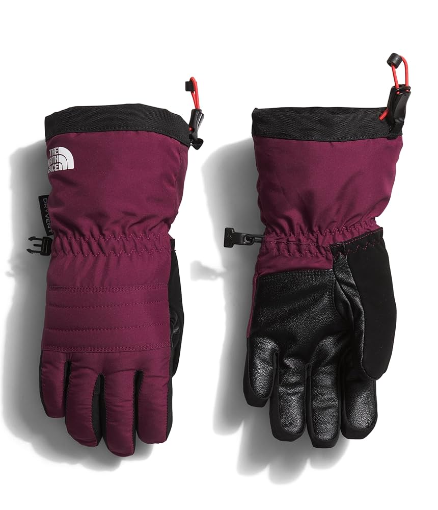 未使用 THE NORTH FACE Montana Ski Glove M Amazon.com : THE NORTH FACE Men's Montana Ski Glove