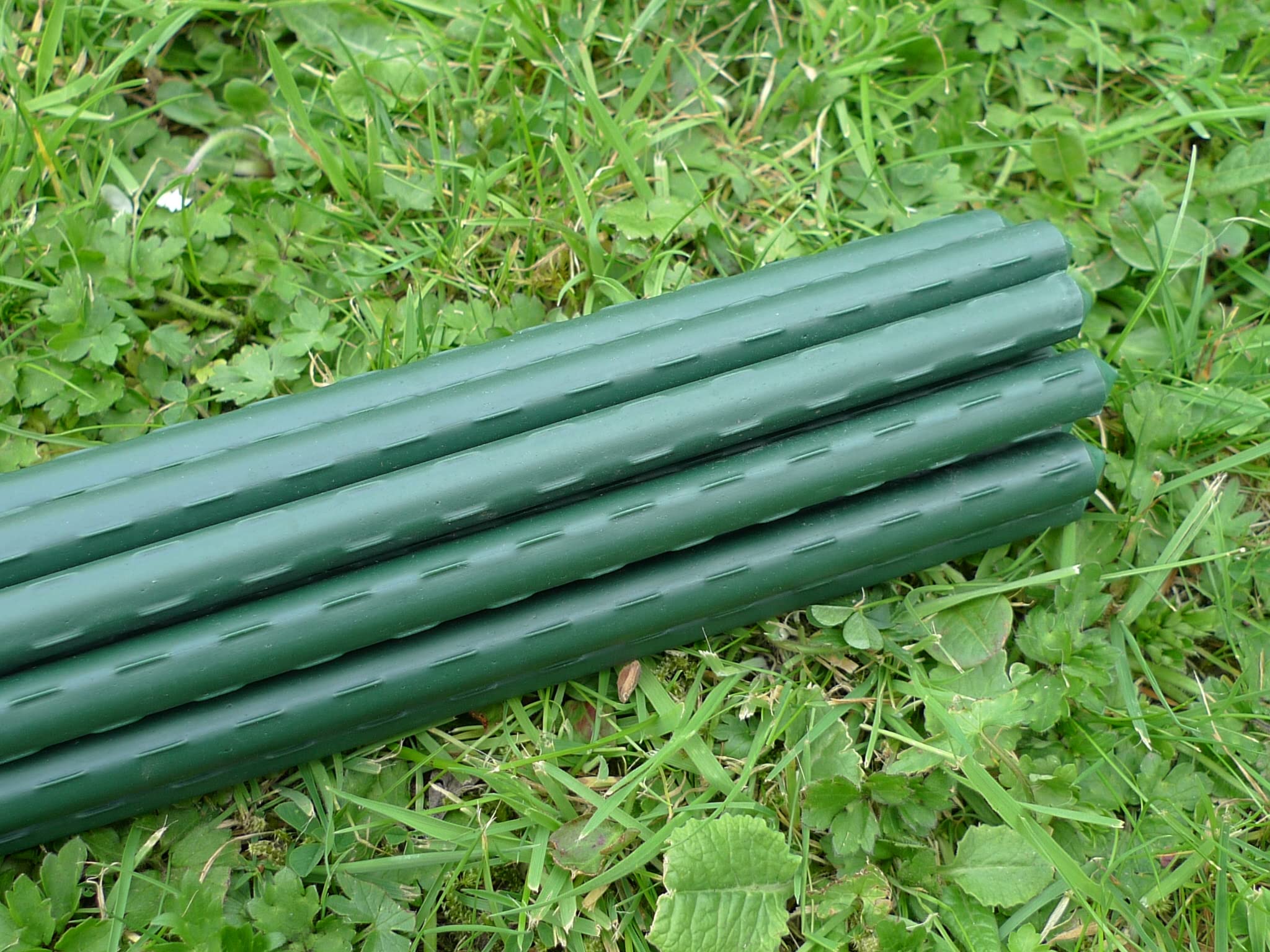 FEED GARDEN 48 Inch Garden Stakes Plastic Coated Metal Plant Stakes For