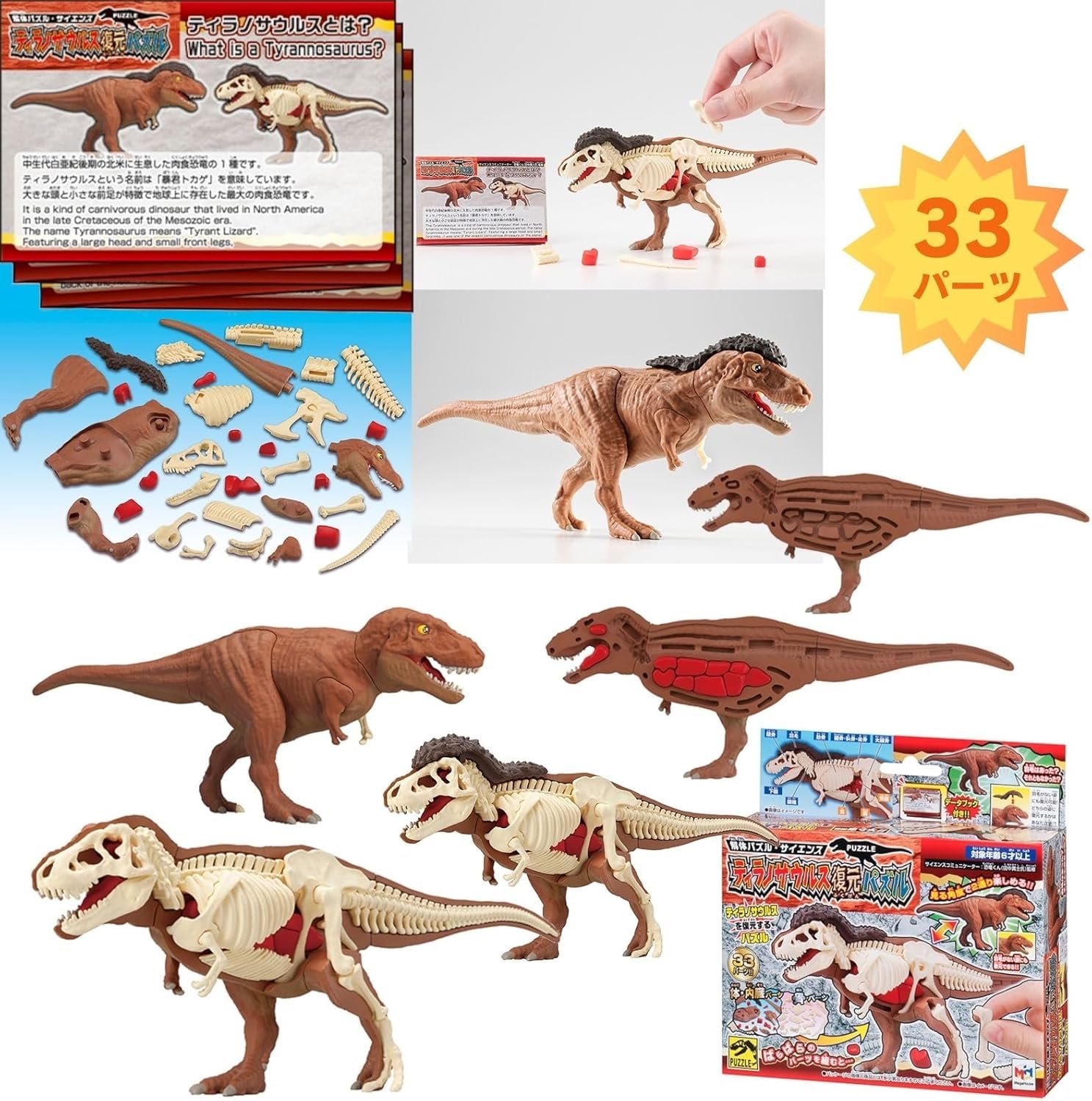 Amazon | 【解体パズル サイエンス：4点セット】ティラノサウルス