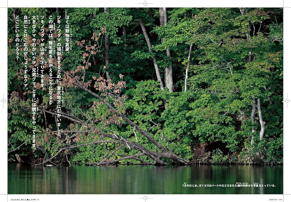 わかやまの生物 きのくに叢書2 ともに生きる 山のツキノワグマ | 前川貴行, 前川貴行 |本