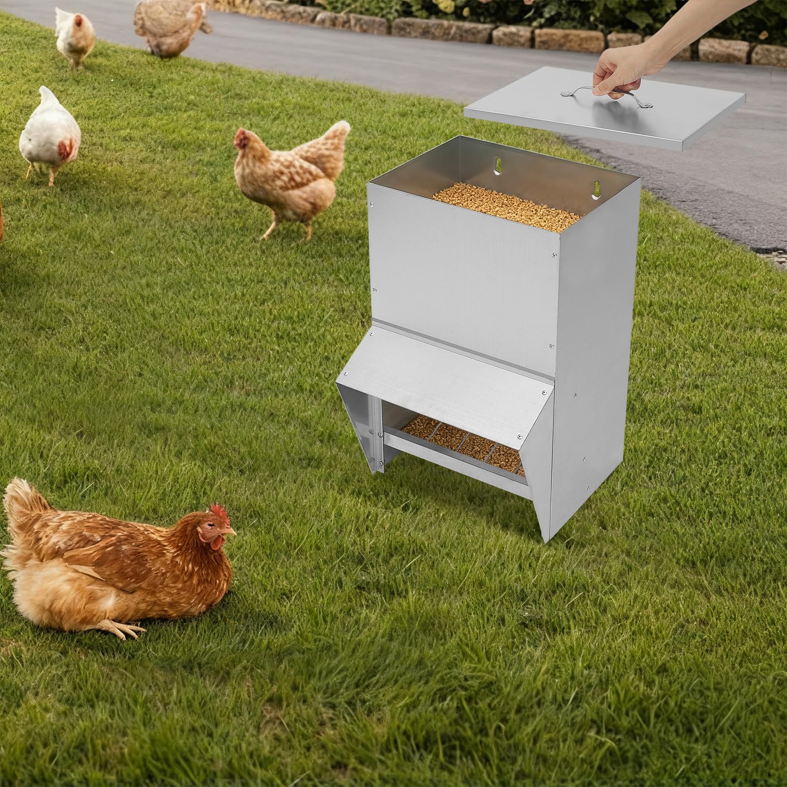 Alimentador de aves de corral de 25 L, 35 x 26 x 54,5 cm, comedero automático para pollos, gansos y patos