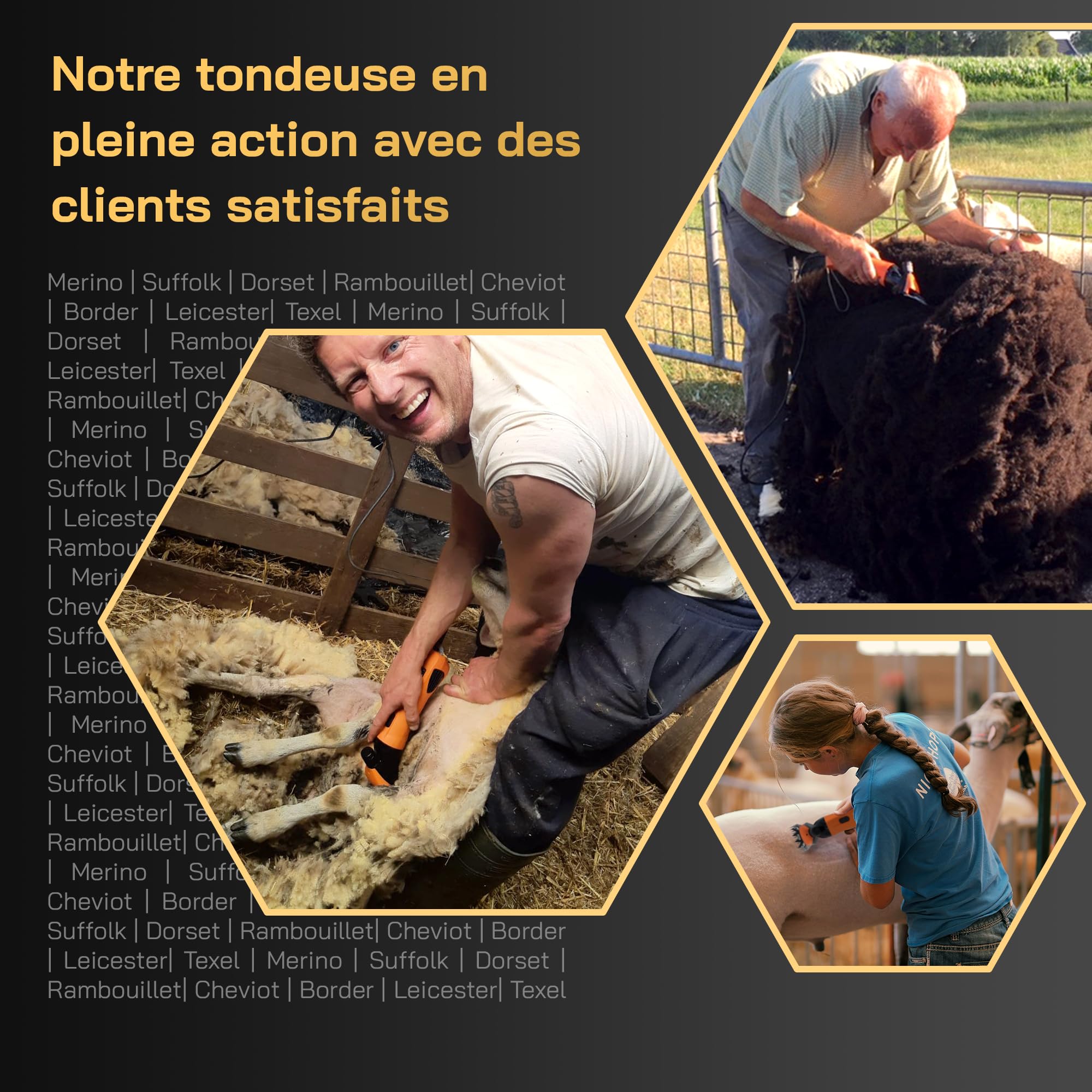 KNEIZER Tondeuse Électrique pour Moutons Kit Complet Lames Remplaçables Moteur Puissant