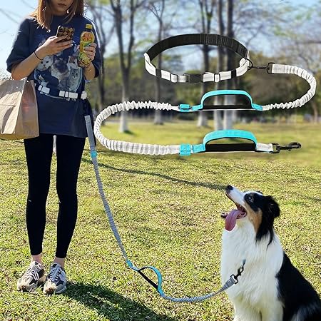 Amazon 犬用リード 犬しつけ用リード ジョギングリード ハンズフリー 中型 大型犬リード 腰掛け 夜間反射材料 迷子防止 ジョギング ランニング 脱走防止 散歩 訓練用リード 弾力 メッシュ 調整可能 3way ロングリード 犬用品 お出掛け 伸縮リード ブルー Guusii Home