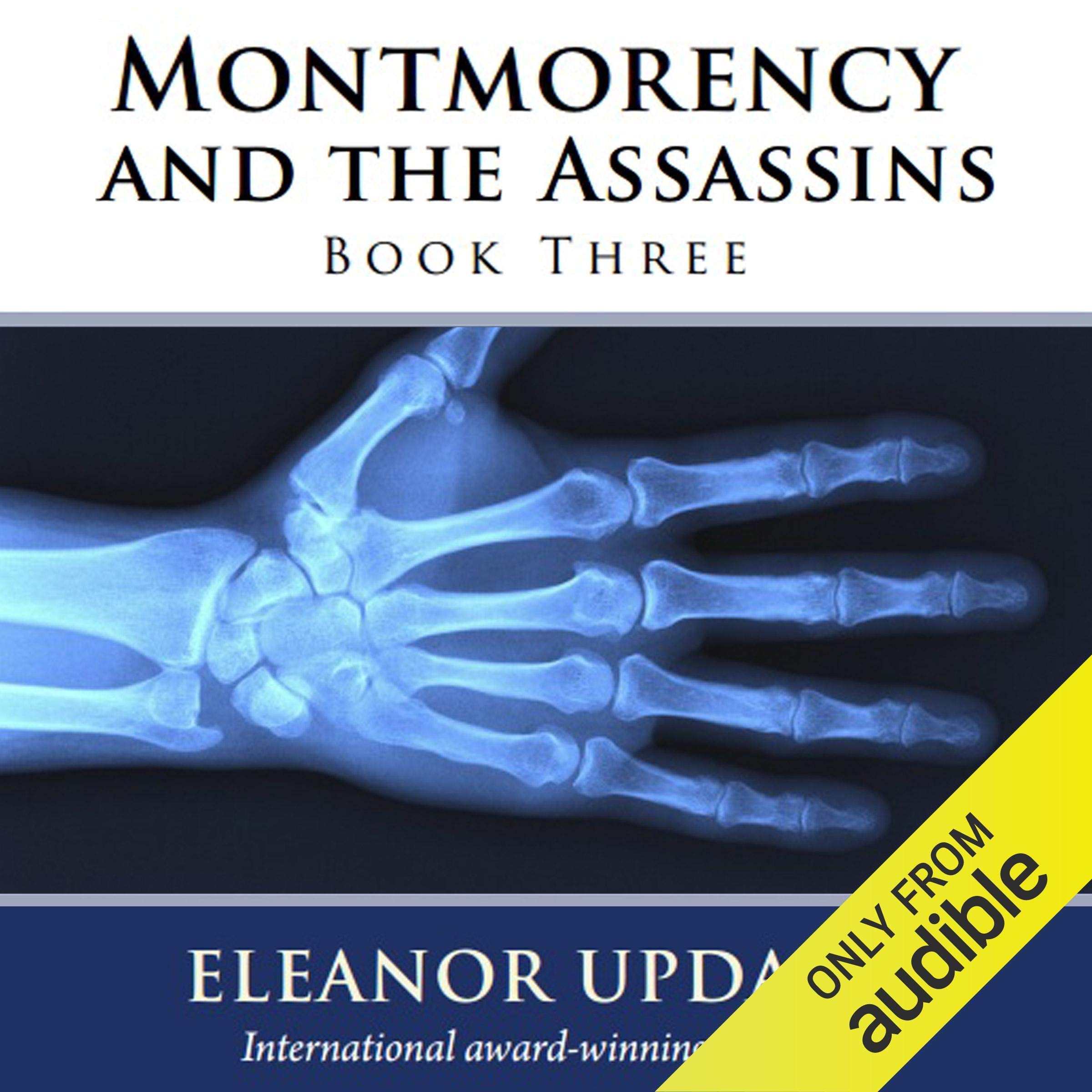 Cover art for Montmorency and the Assassins