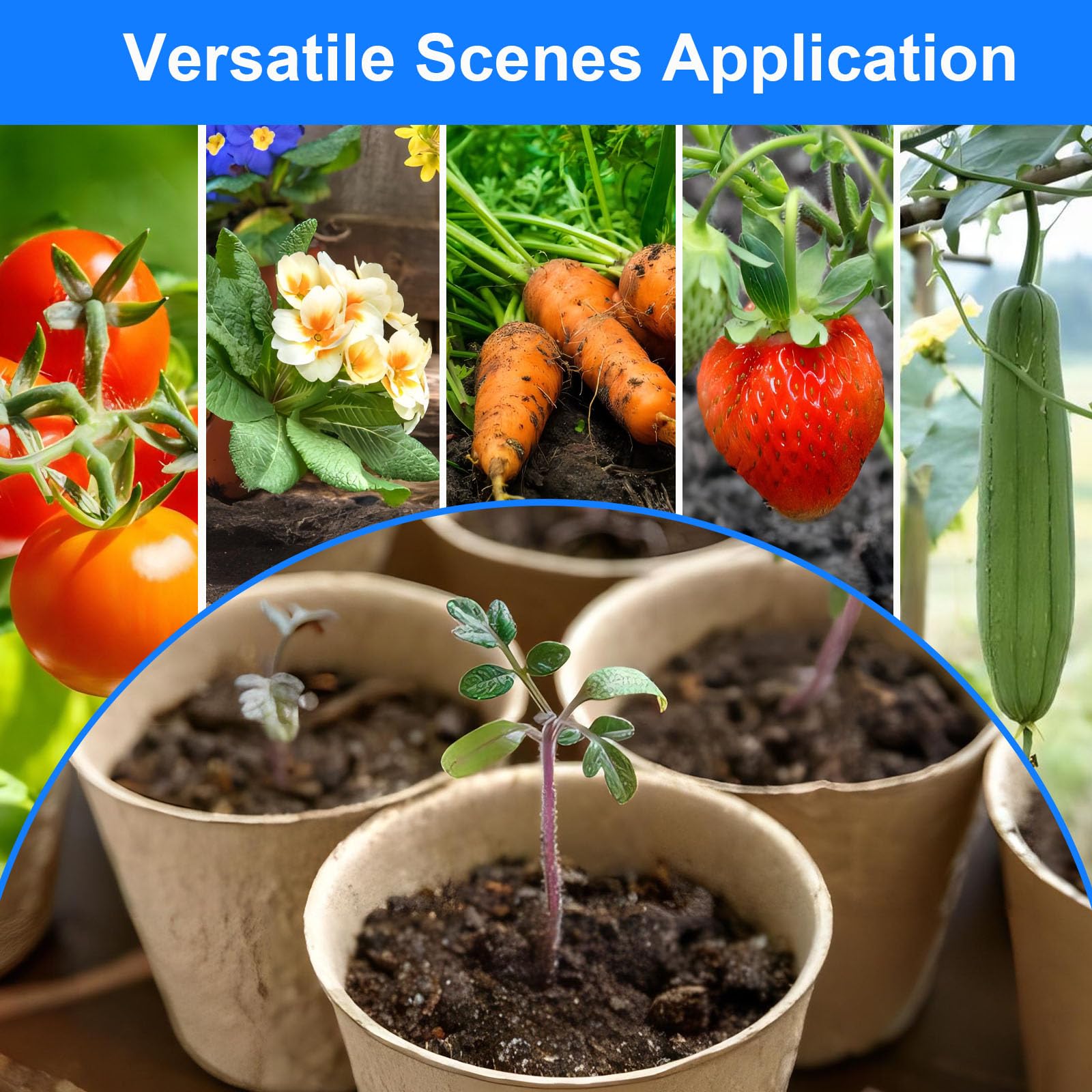 Peat Pots 8 cm, 65 Pcs Seed Starting Pot with Drainage Holes, 3.15 Inch Round Seedling Nursery Box, Small Seed Starting Starter Tray Bulk, Garden Germination Container with Bonus 65 Plant Labels - 4