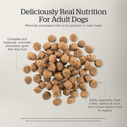 Miniatura 5 de Now Fresh Alimento para perros sin granos, 12 libras  Receta de comida seca sin granos para perros adultos con carne y pescado reales para