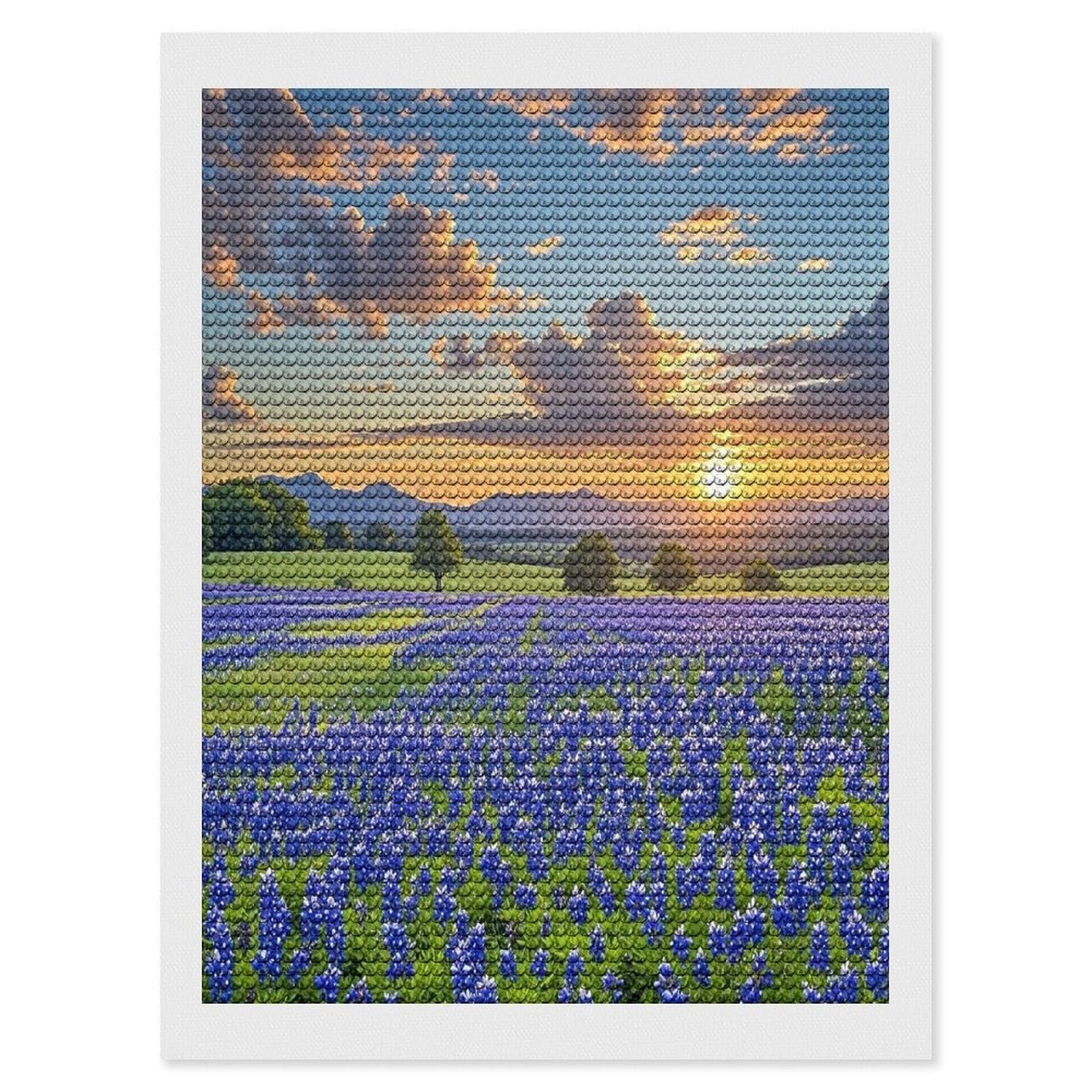 Texas Bluebonnets Scenery Diamond Painting Kits for Beginners DIY Diamond Art Kits for Adults Full Drill Round Diamond Dot Gem Art Painting Fun DIY Crafts for Home Kitchen Wall Decor Gift 12"x16"