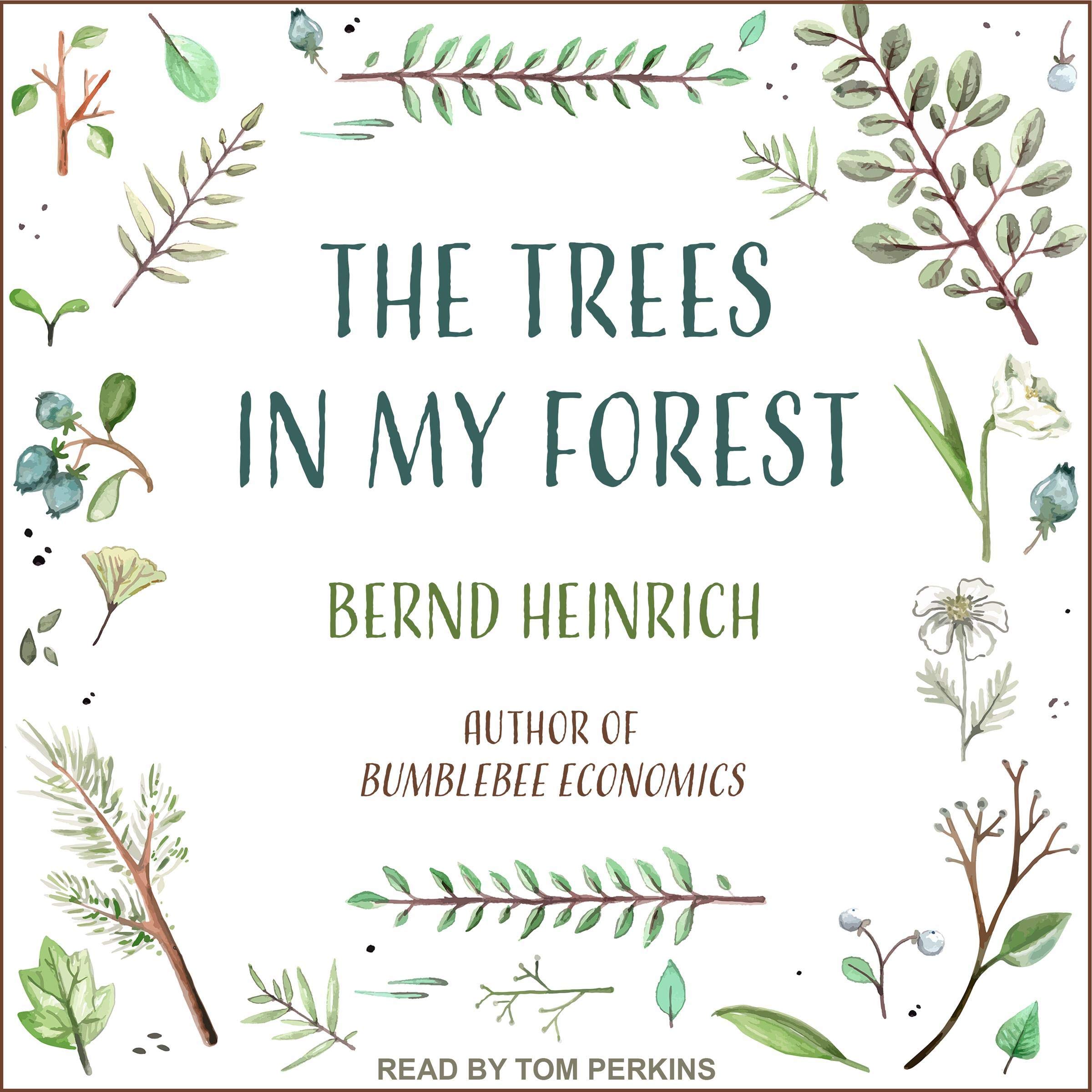 Cover art for The Trees in My Forest