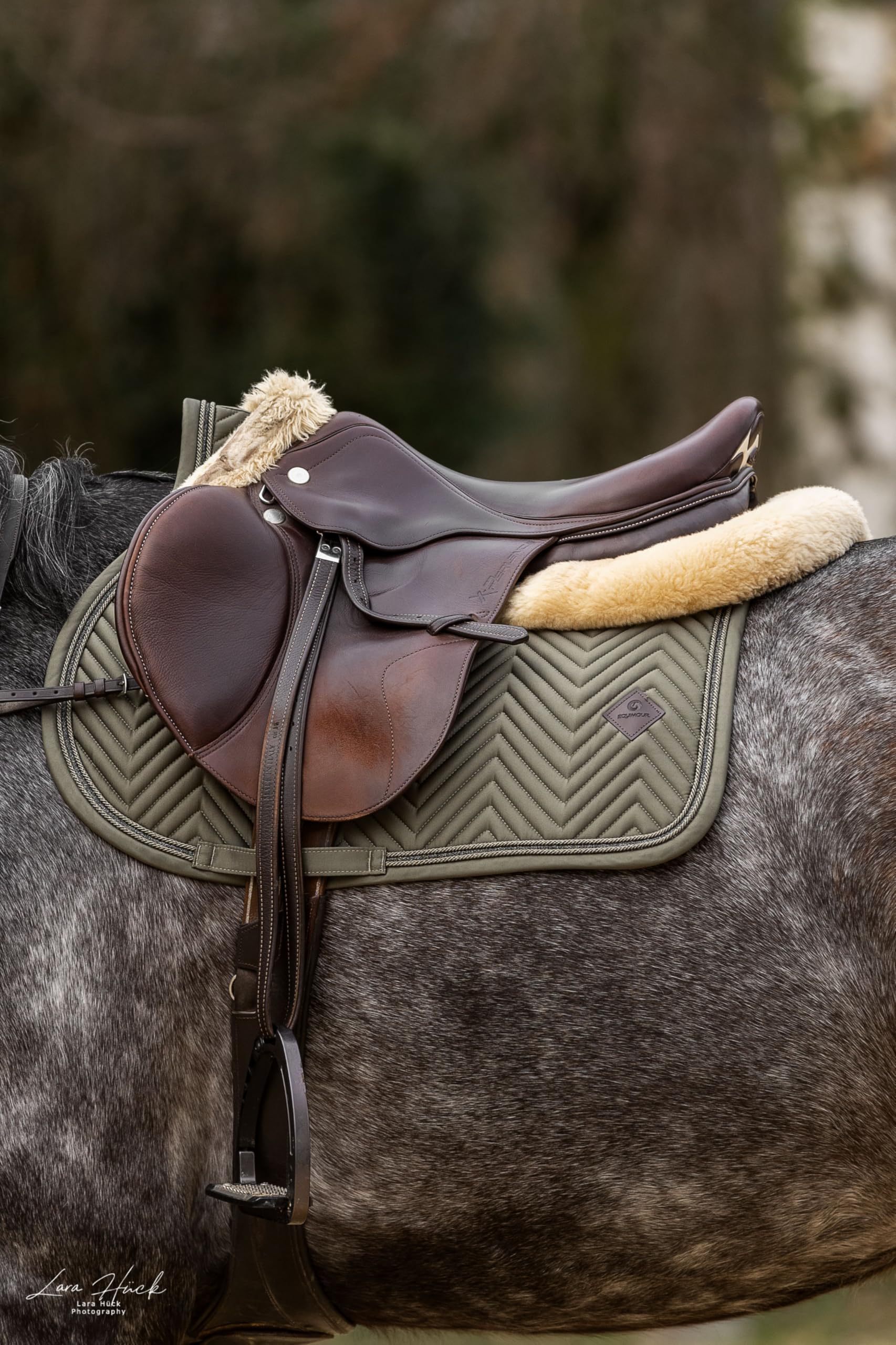 Spring Schabracke Set Sage 2-teilig – Springschabracke & Fliegenhaube – Atmungsaktiv, rutschfest & Strapazierfähig – Elegantes Reitsport Turnier Set Warmblut/Full – Classic Sage