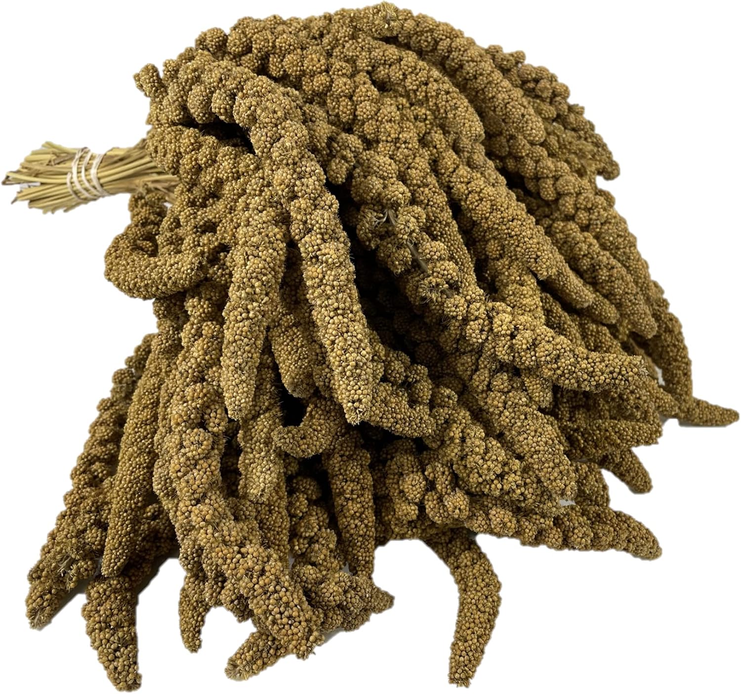 AA Plus Shop Spray Millet Treat Feed for Birds Parrots Parakeets and More 5lb, Yellow, 5 Pound (Pack of 1)