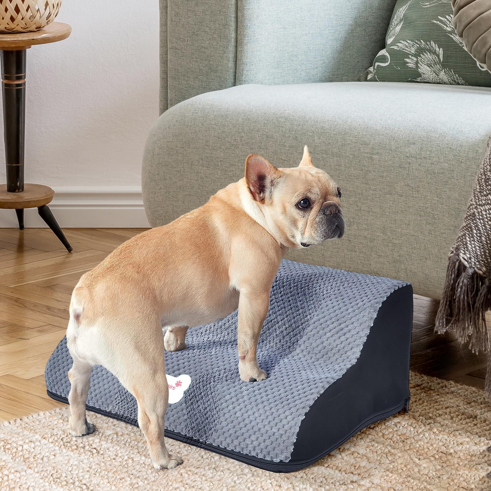 Escalier pour chien - Rampe pour chien - Échelle pour animaux de compagnie - Escalier pour chien à 2 marches - Multifonctionnel - Éponge haute densité pour chiens âgés - Intérieur, Voiture