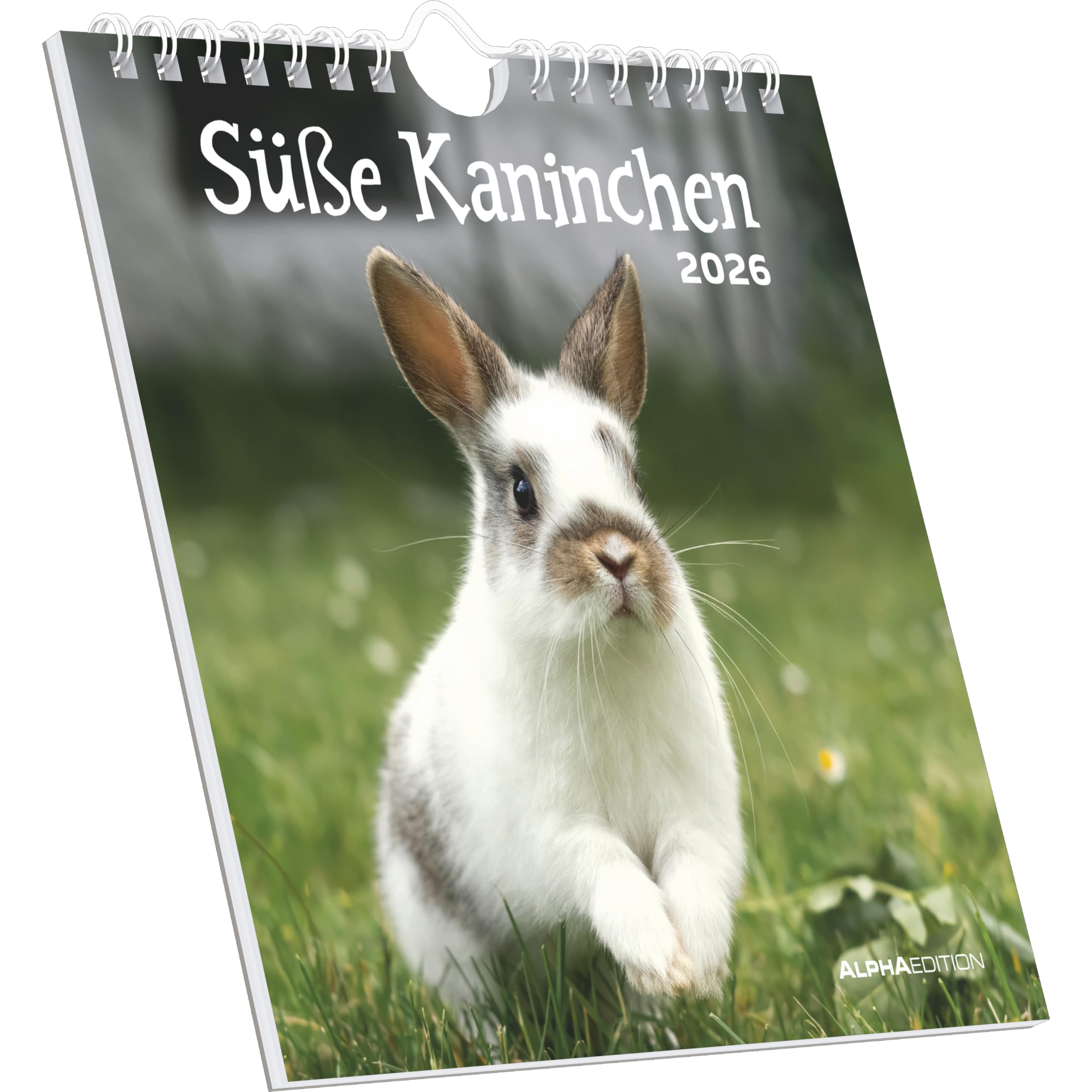 Kalender, Planer & Organizer