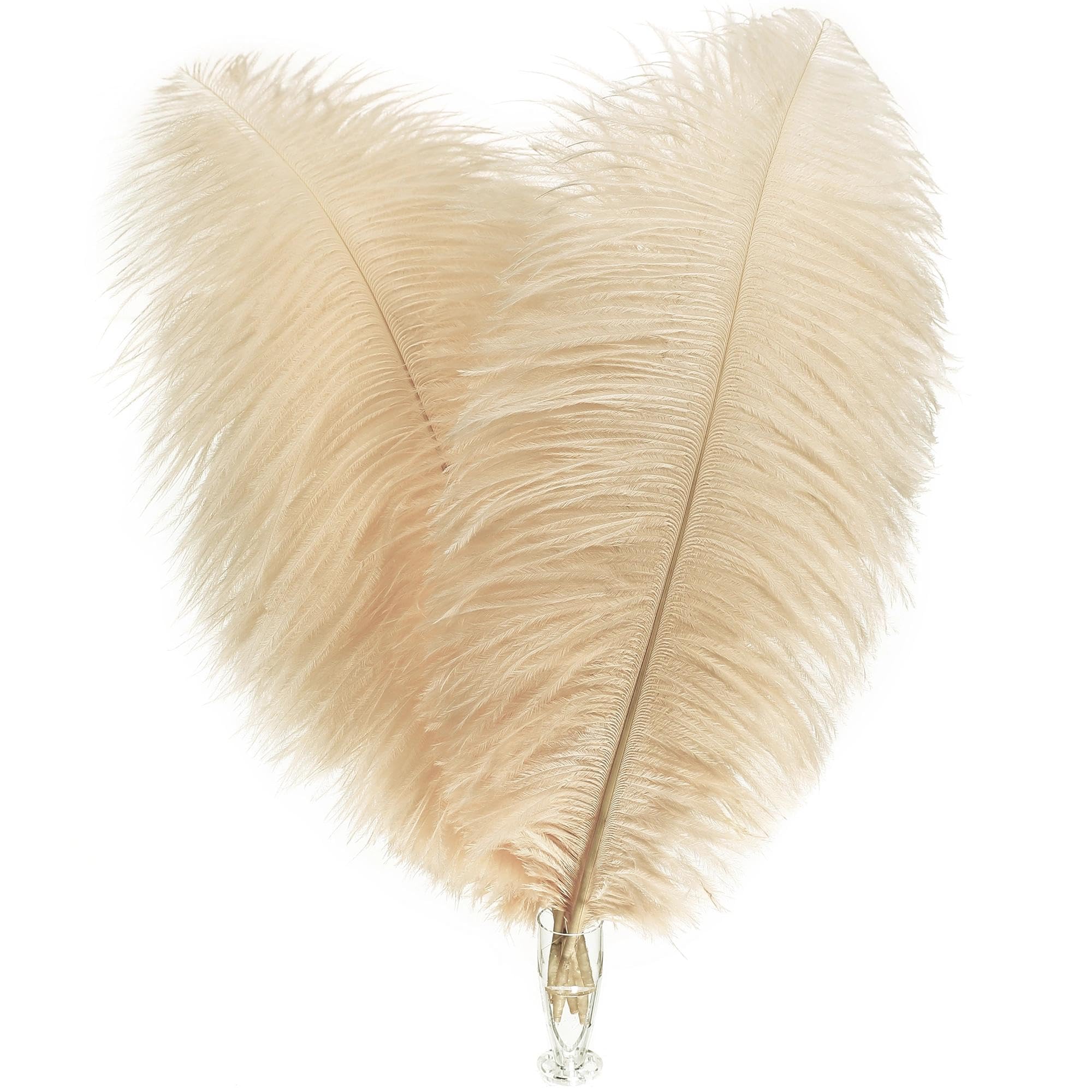 Soarer Champagne Long Ostrich Feathers Bulk for Crafting - 18pcs 8-10inch