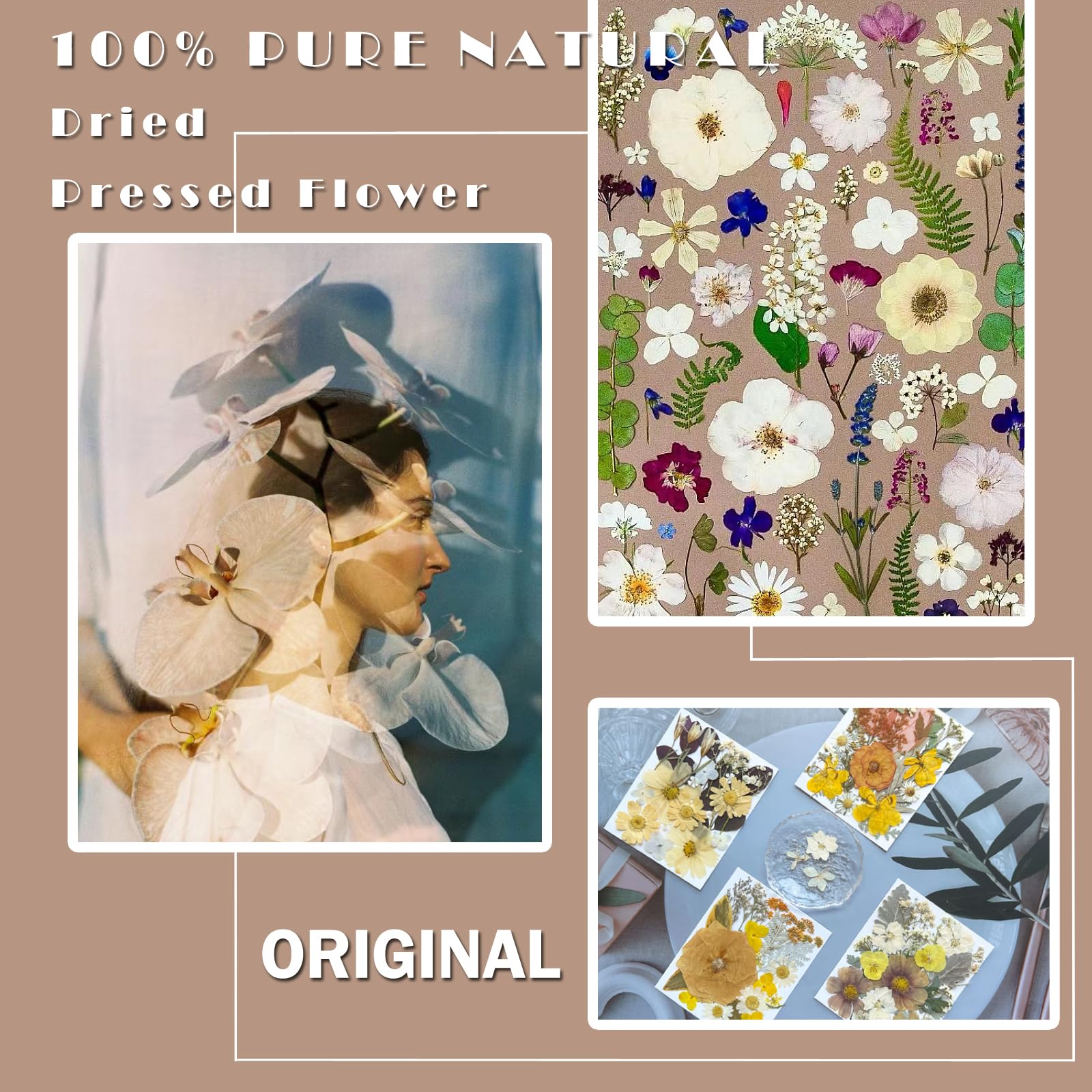 MIKIYA 90 getrocknete gepresste Blumen für Harzformen, Vintage-Weiß, echte natürliche trockene Blumen für DIY-Kunsthandwerk, Epoxid-Schmuck, Kerzen, Seifenherstellung, Nageldekoration, Handyhülle, 90
