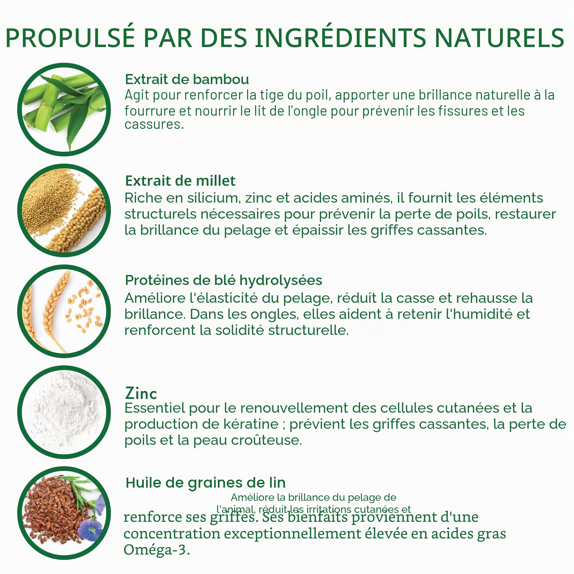 KERAVITA Phytokeratin pour Chiens & Chats | Vitalité du Pelage et Solidité des Griffes | 30 Sachets | Complément Alimentaire Naturel | Dermoscent