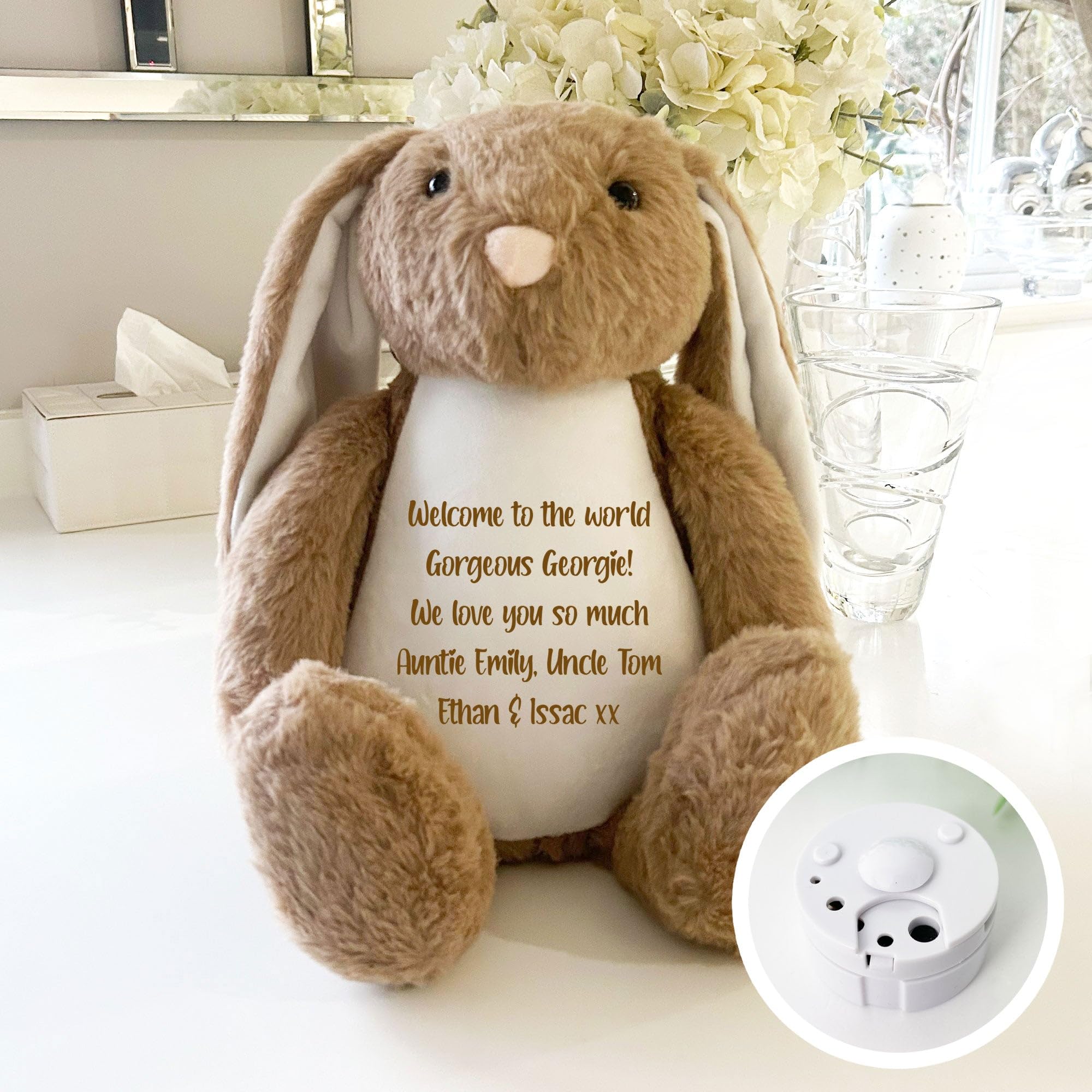 Personalised Text & Record-A-Voice Keepsake Memory Bunny - Brown | Custom Message & Voice Recording | Sympathy Gift, Remembrance