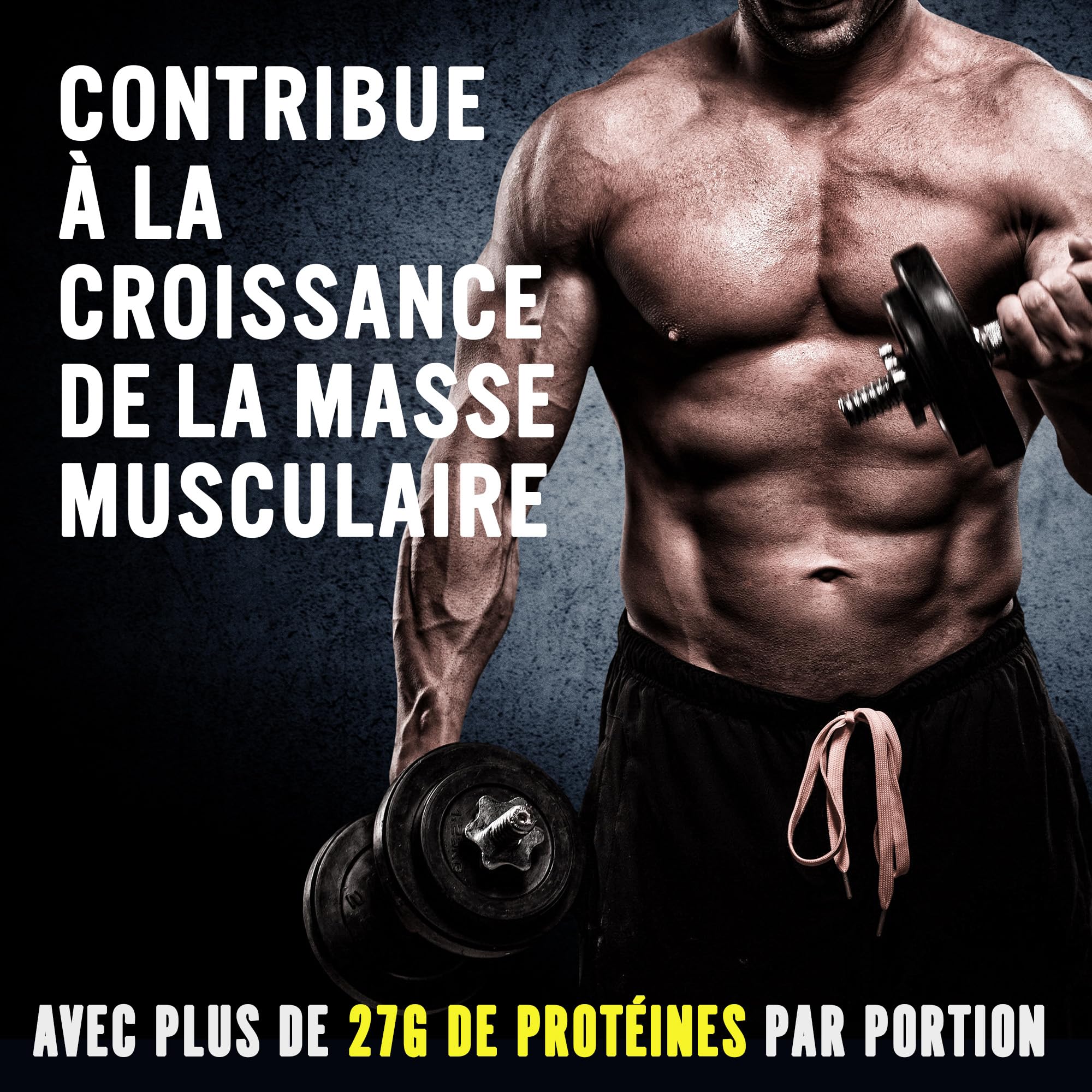 Applied Nutrition Bœuf XP Isolat de Protéines de Bœuf Hydrolysées, Poudre de Protéines de Bœuf, Boisson Protéinée sans Produits Laitiers, sans Lactose, sans Sucre, 60 Portions (1.8Kg, Mixed Berry)