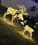 Review Image by Lianet Lianet