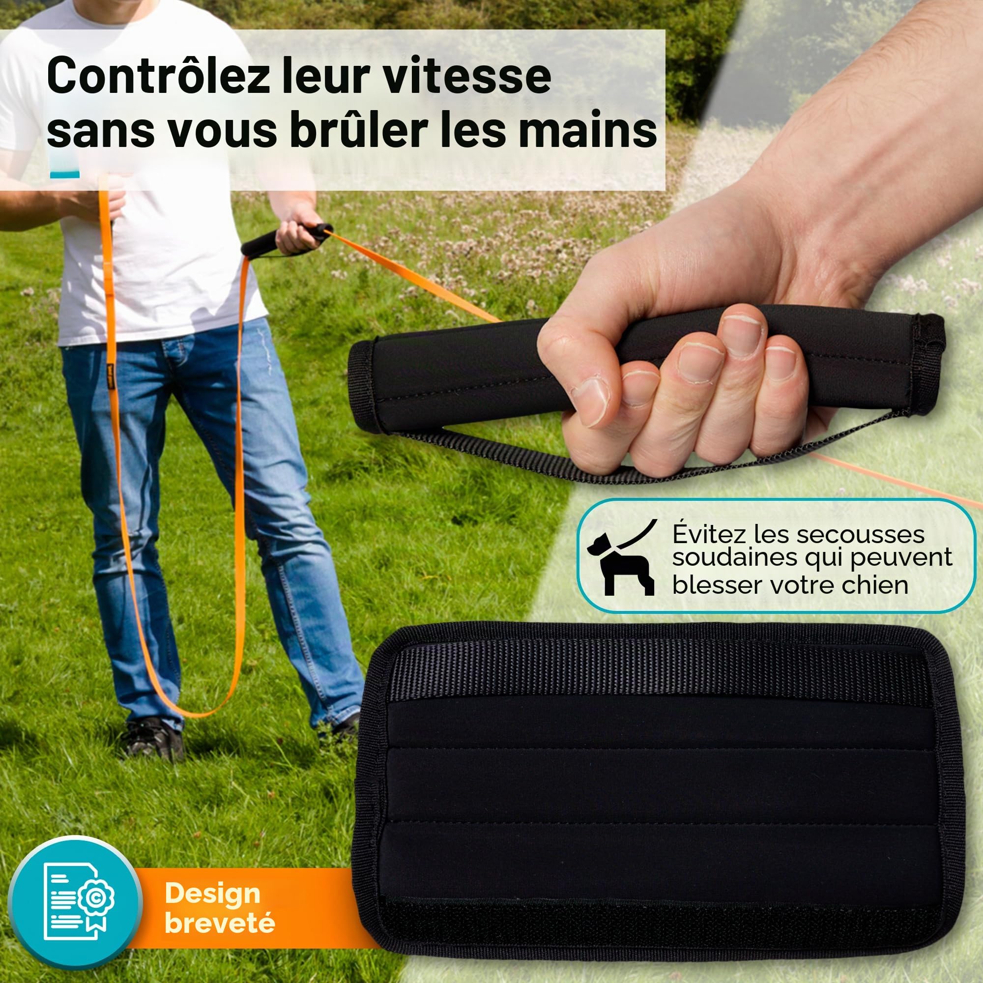 Total Pet Laisse de dressage pour chiens, longue ligne imperméable pour rappel et dressage d'obéissance – Laisse extra longue pour chien – Convient à toutes les tailles de chiens (10 m, clip standard)