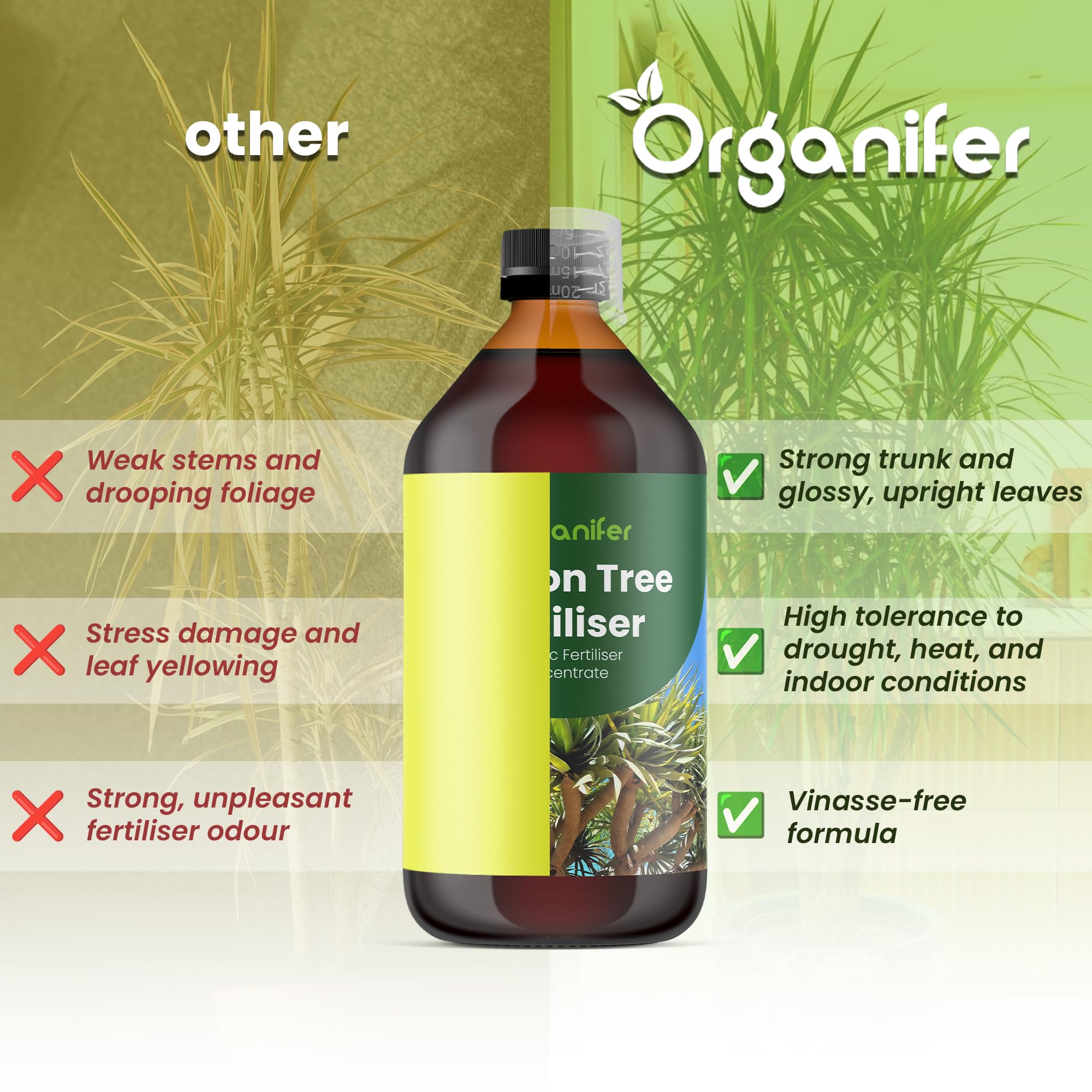 Fertilizante Líquido - 2x1L - Para Dracaena - NPK 2-1-8 | Plantas Sanas Y Hojas Vigorosas - Organifer
