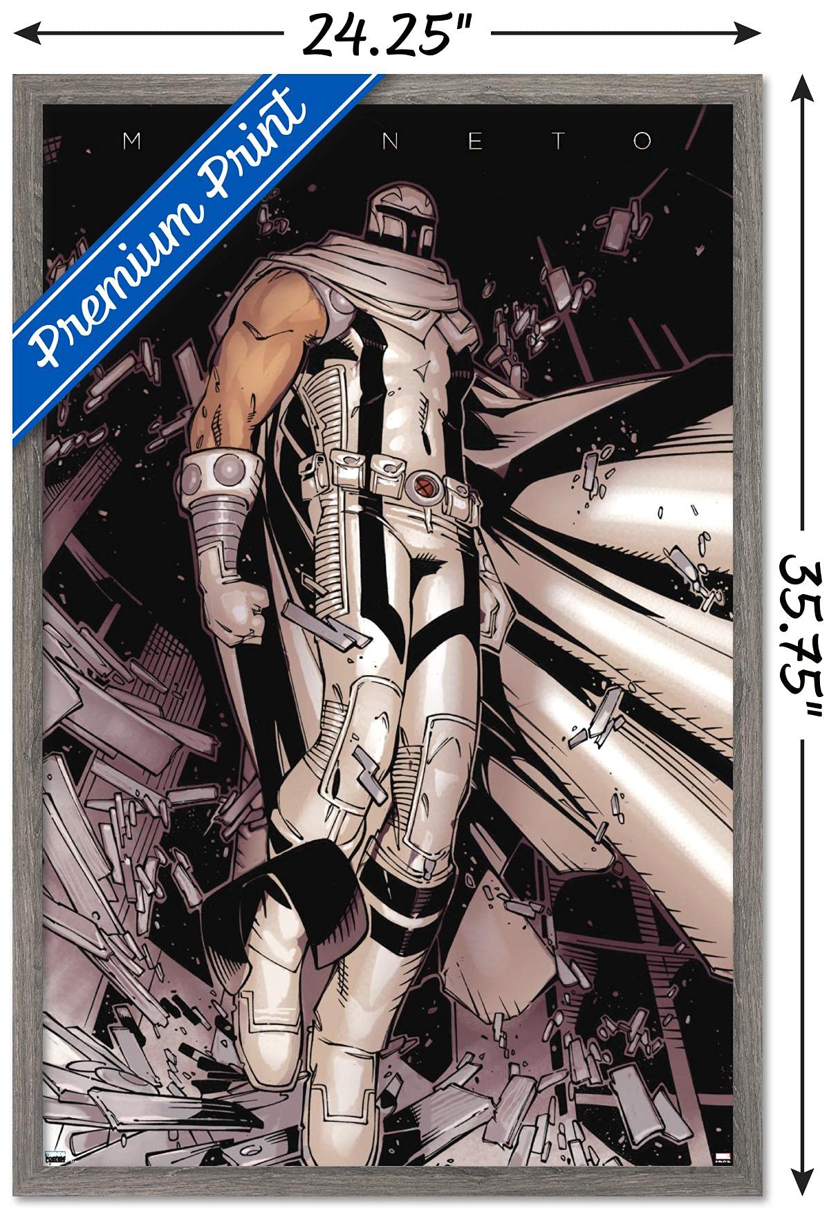 Amazon.com: Trends International Marvel Comics Magneto - Floating