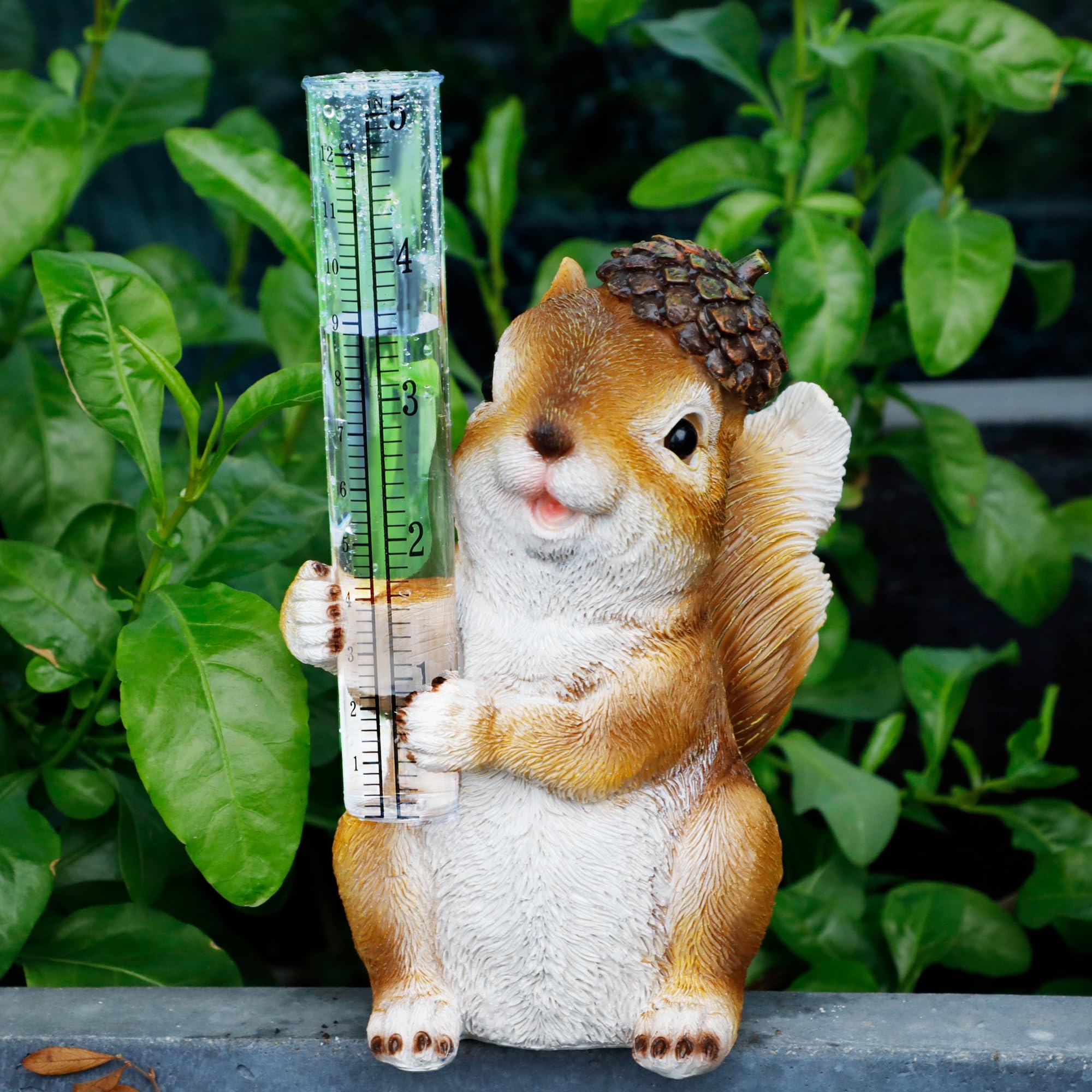 Amazon.com : FORUP Resin Squirrel Rain Gauge, Hand Painted