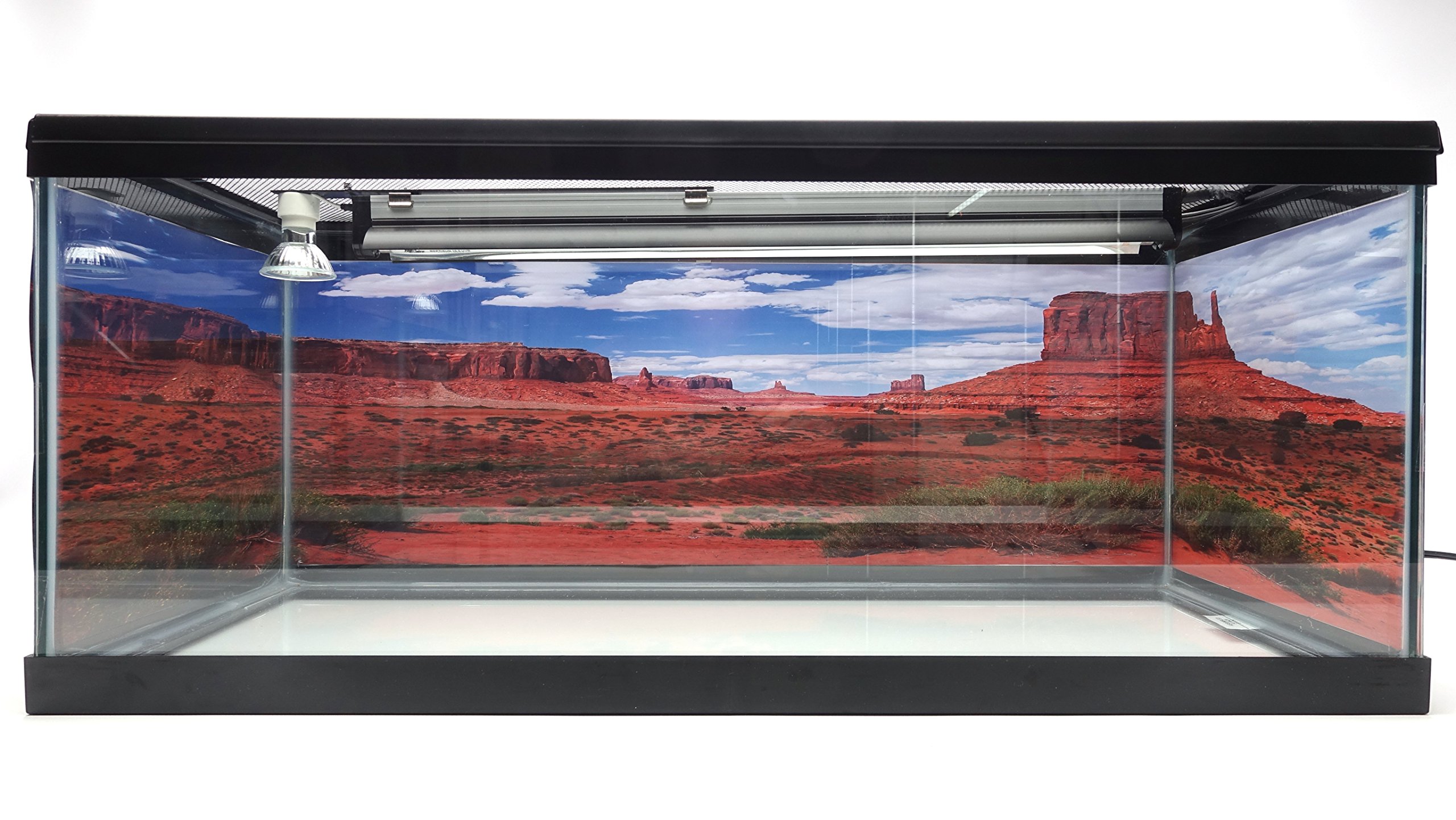 Reptile Habitat Background; Monument Valley Merrick Butte for 20L, 3-Sided Wraparound