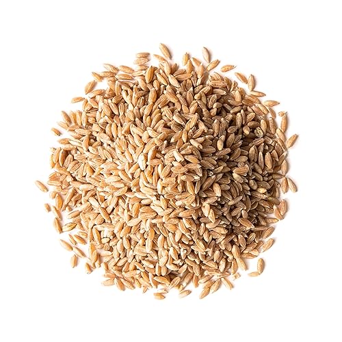 Miniatura 3 de Bayas de espelta, 1.5 libras. Un nutritivo grano antiguo para cocinar, hornear o refrigerios saludables. Rico en fibra, proteínas y hierro.